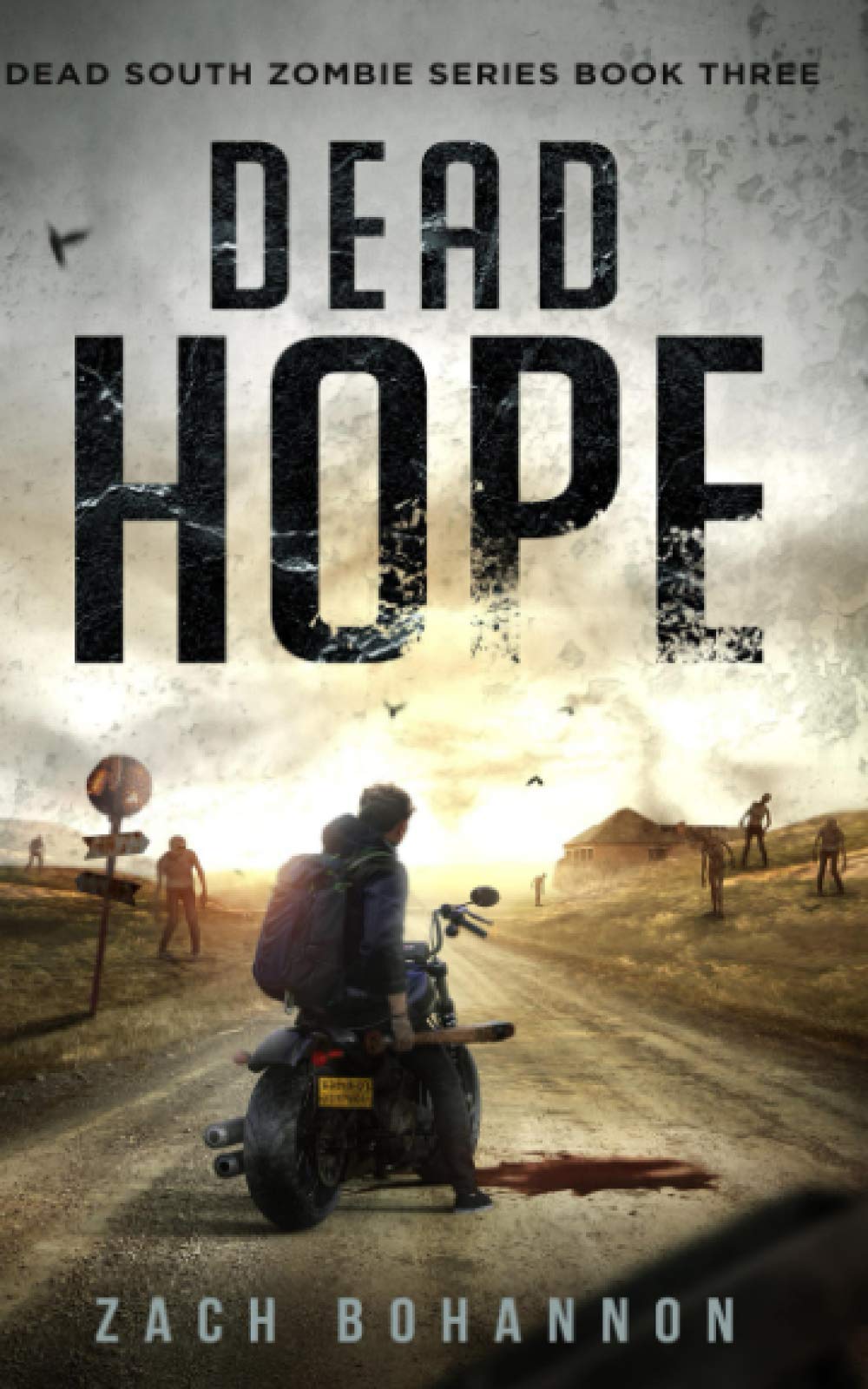 Dead Hope: A Post-Apocalyptic Zombie Thriller (Dead South Book 3)