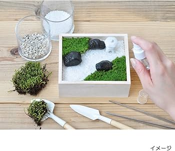 Amazon.co.jp: 聖新陶芸 通年 庭園 苔庭園 栽培キット ゆったり育てる