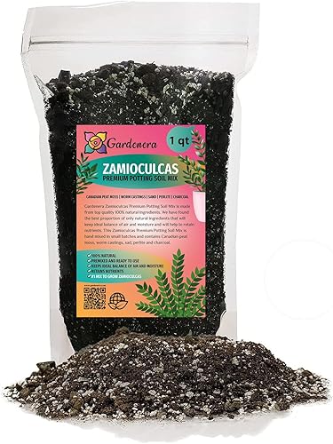 Mezcla para macetas Zamioculcas de primera calidad, eleva tu espacio con una elegancia llamativa y una belleza distintiva, 4 cuartos de galón