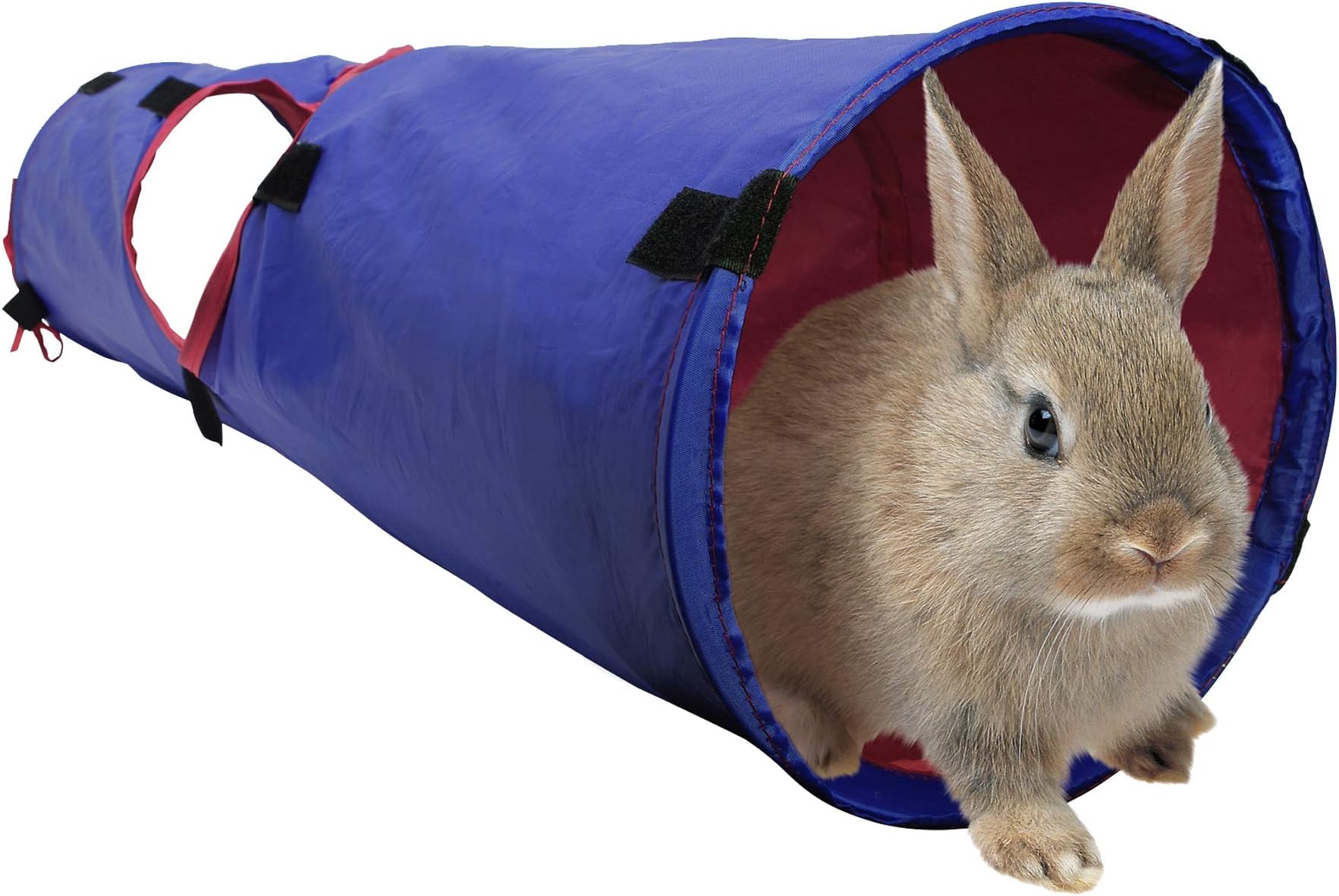 Pet Tunnel, Small Animal Tunnel for Rabbits and Guinea Pigs, Blue/Red, 61397
