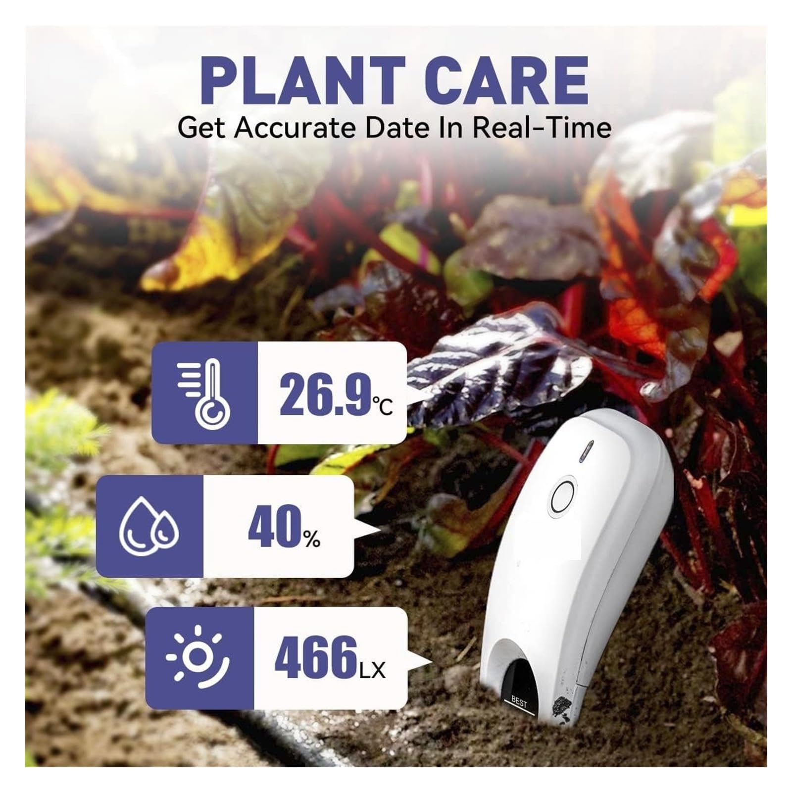 Humidimètre De Sol sans Fil, Testeur De Température Et D'humidité, Moniteur De Plantes, Détecteur Étanche IPX5 for La Plantation De Jardin