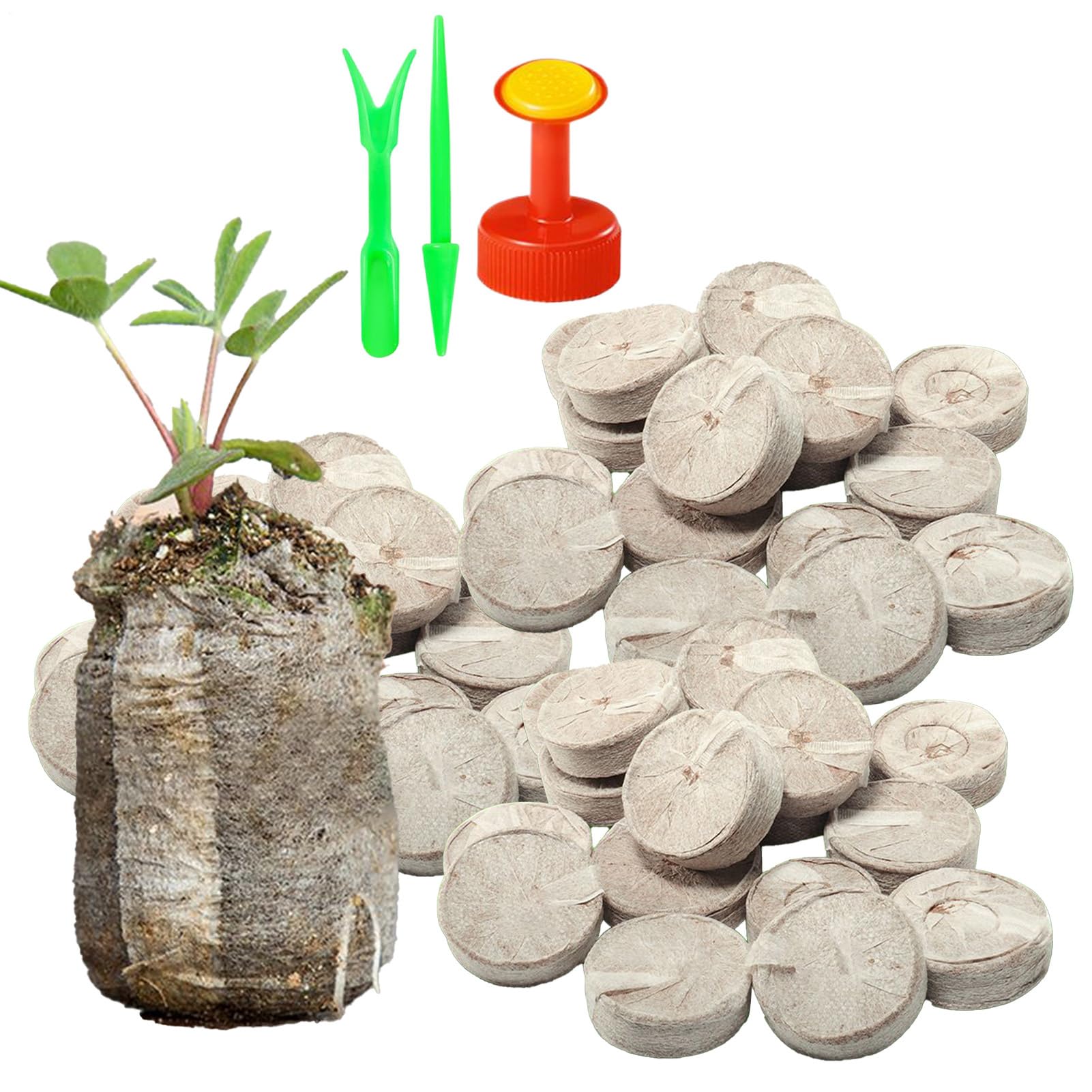 Pastillas para germinar semillas de 3 cm que facilitan el enraizamiento y trasplante seguro