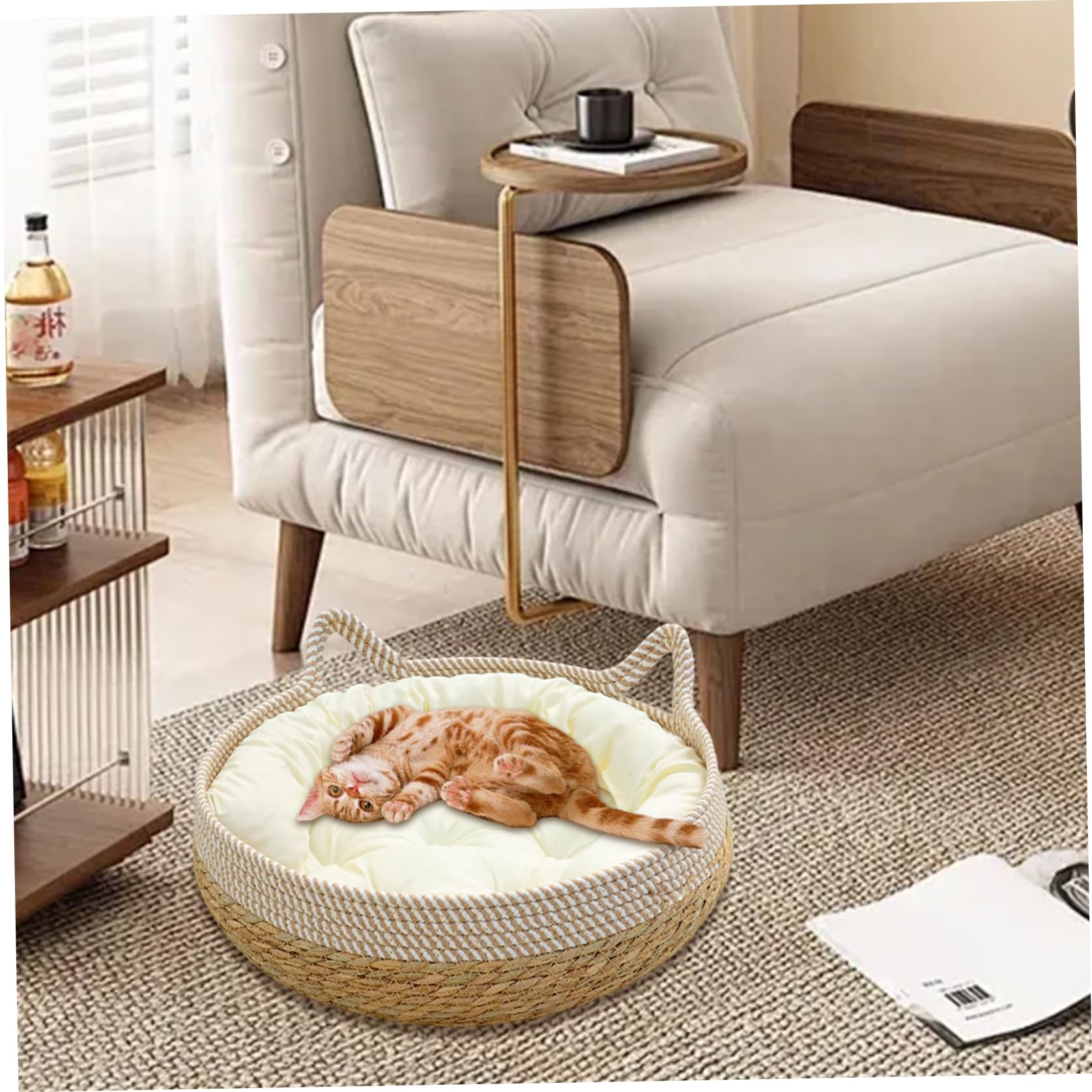 Lits de Chats pour Chats intérieurs, paniers de Chat tissés 16 x 6 Pouces avec Coussin Doux, lit Chaton à l'épreuve des Rayures Panier Rond Confortable