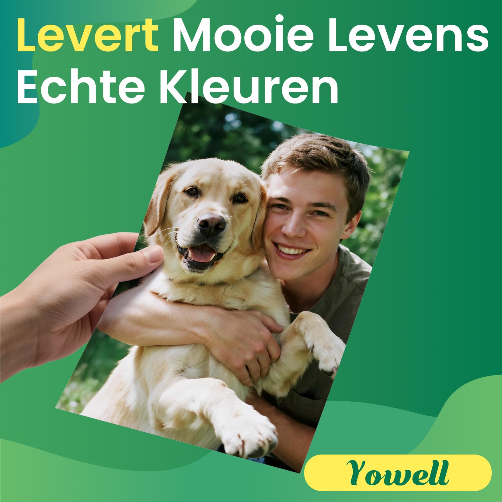 20x 603XL Cartucce Compatibili con Epson 603XL 603 XL per Epson Expression Home XP-2100 XP-3100 XP-4155 XP-4150 XP-4100 XP-3155 XP-3150, Workforce WF-2810 WF-2830 WF-2835