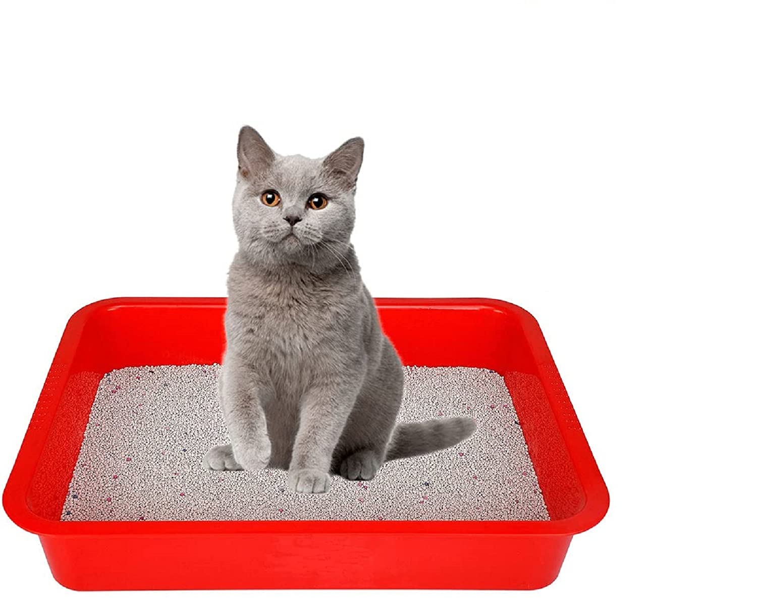 HRIM ENTERPRISE Unbreakable Plastic Storage Organizer Big Rectangular Shape Tray for Naturally Extracted Cat Tray for Filling Cat Litter Tray (L-36.5 x W-26 x H-7.5 cm) Multi 1 pcs