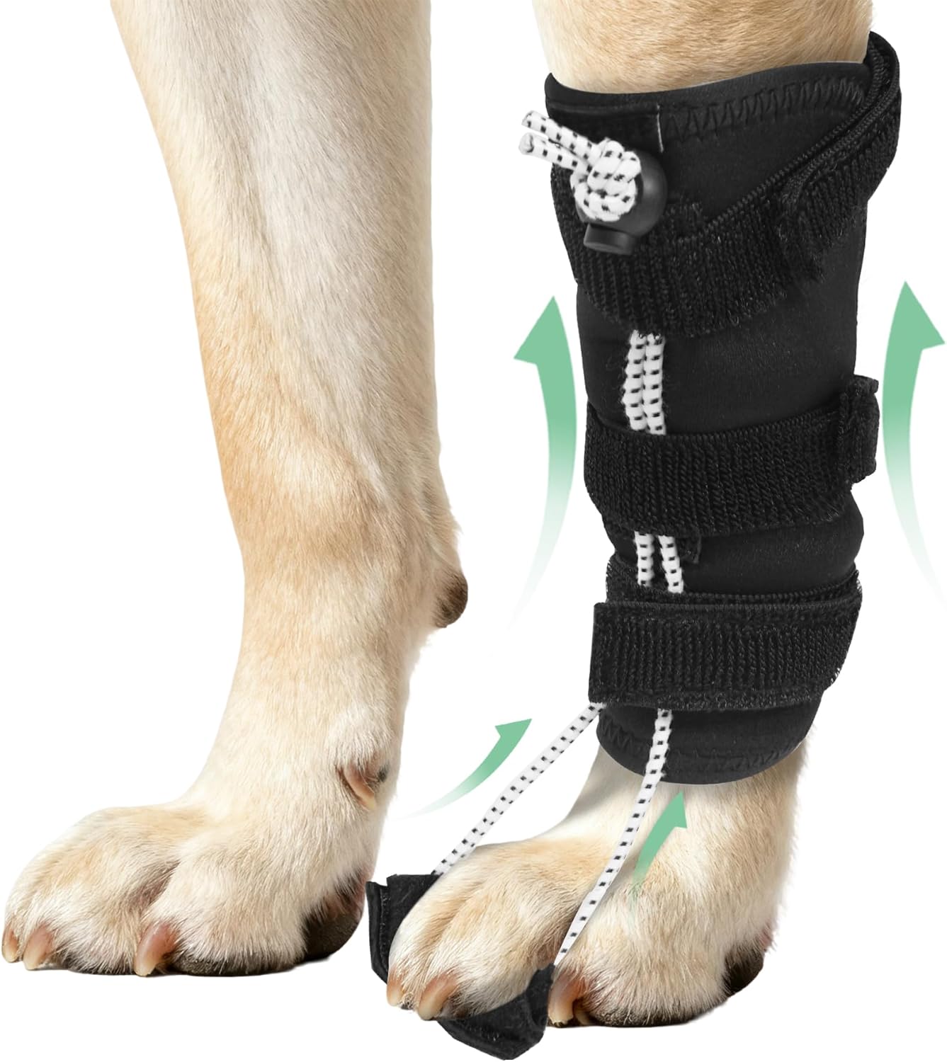 Dog Knuckling Brace, Dog Toe Grips for ACL Injury, Hock Fracture, Arthritis & Meniscus Tears, Rear Legs, M