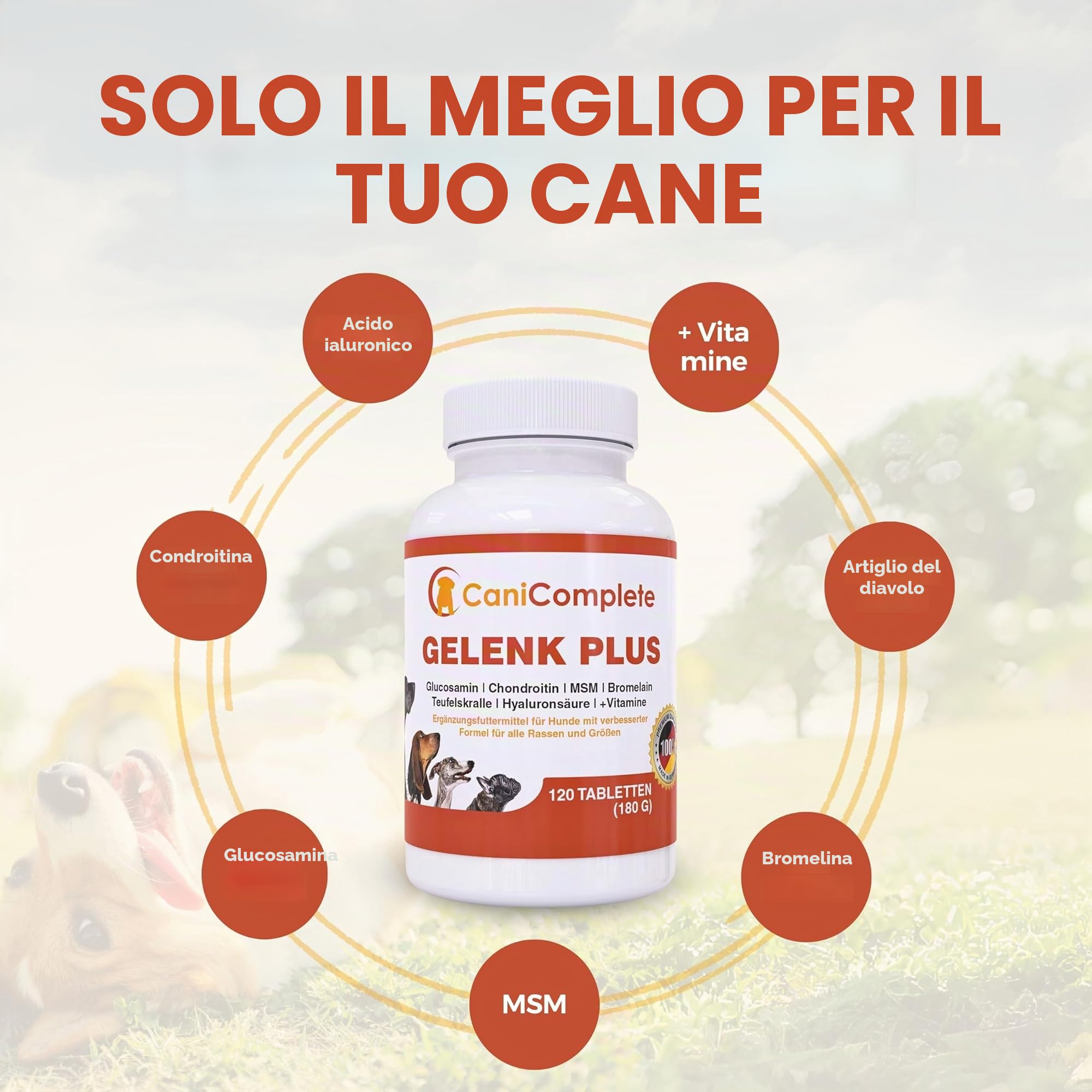 Articolazioni cane | Integratore cani CaniComplete, compresse per le articolazioni del cane con Glucosamina, Condroitina, Artiglio del Diavolo, MSM e Vitamine – supporto articolare