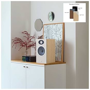 Amazon.co.jp: Focal Theva N°1-2-Way 本棚 ラウドスピーカー