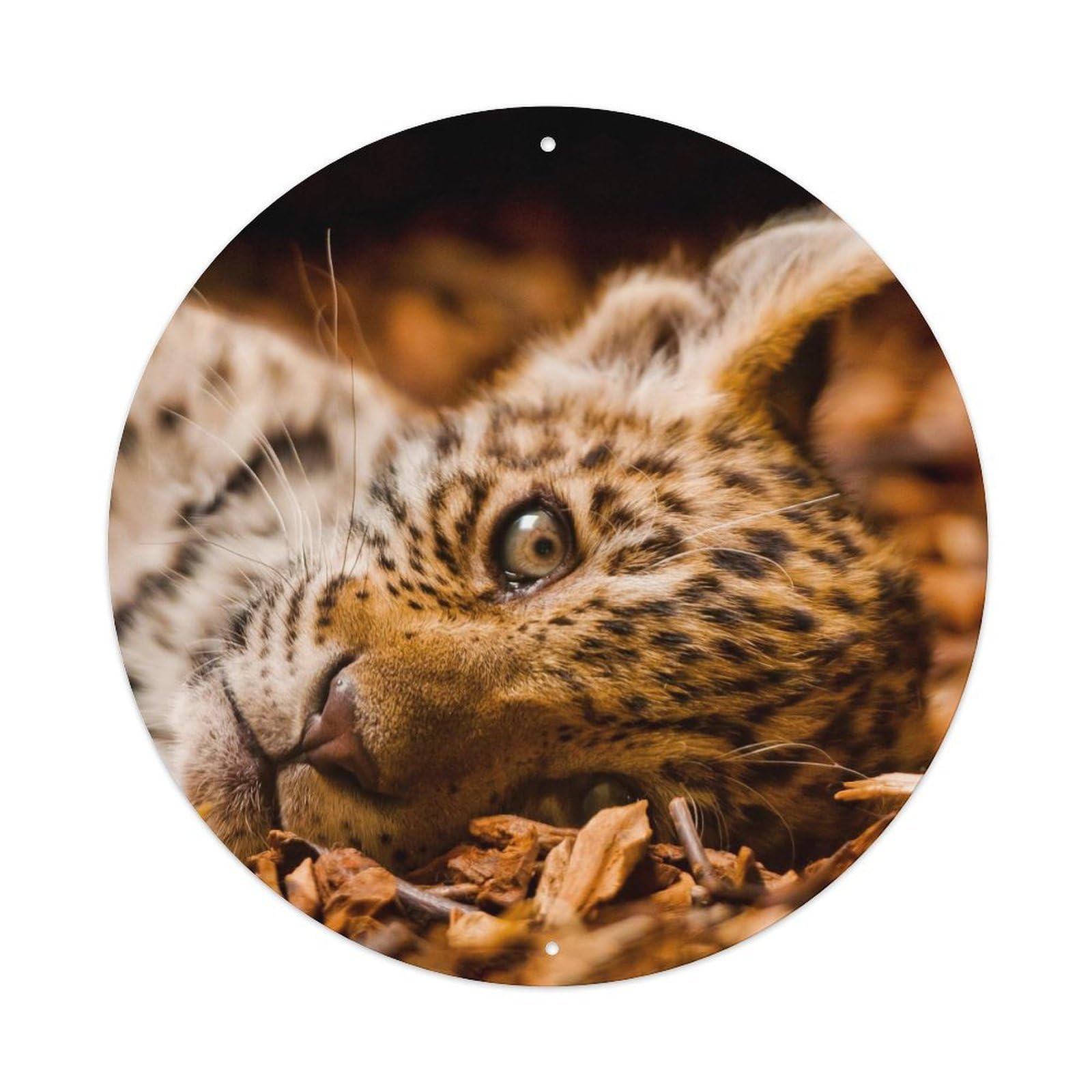 Animal Cute Cheetah Cubs Metal Tin Sign