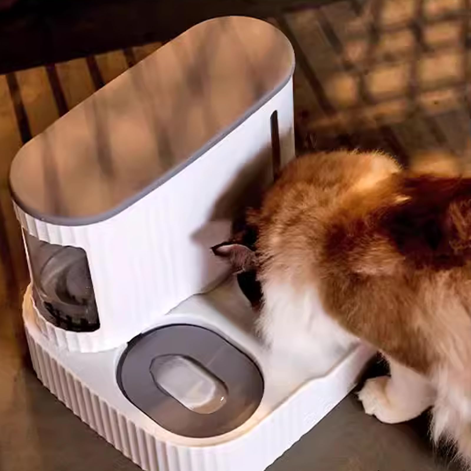 Dispensador Automático De Comida Y Agua para Gatos, Alimentador por Gravedad, Alimentador De Alimentos Secos para Gatos Y Dispensador De Agua, Bebedero Y Comederos Automáticos para Gatos 2 En 1