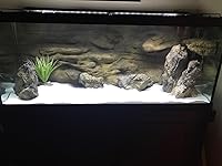 Review Image by Mikegezz Mikegezz