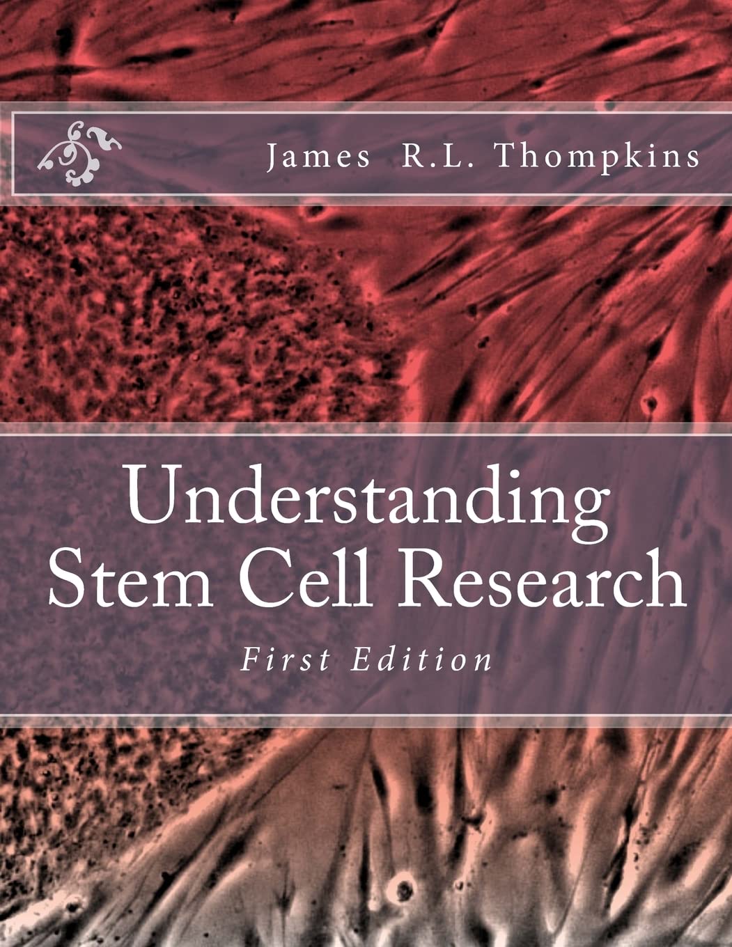 Understanding Stem Cell Research