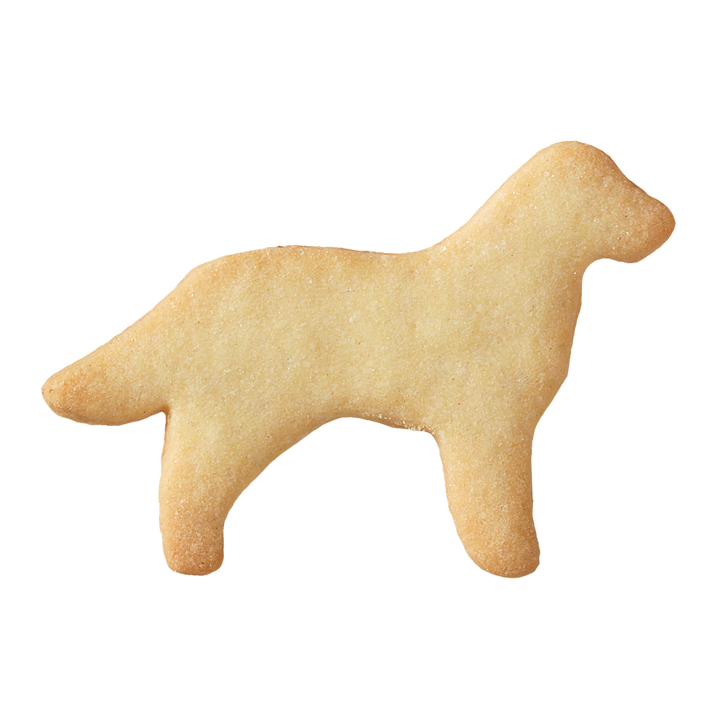 Birkmann Stampini Biscotti In Piedi Animali – 4 Formine+1 Sostegno, 6-8 Cm, Acciaio Inox, Confezione Regalo