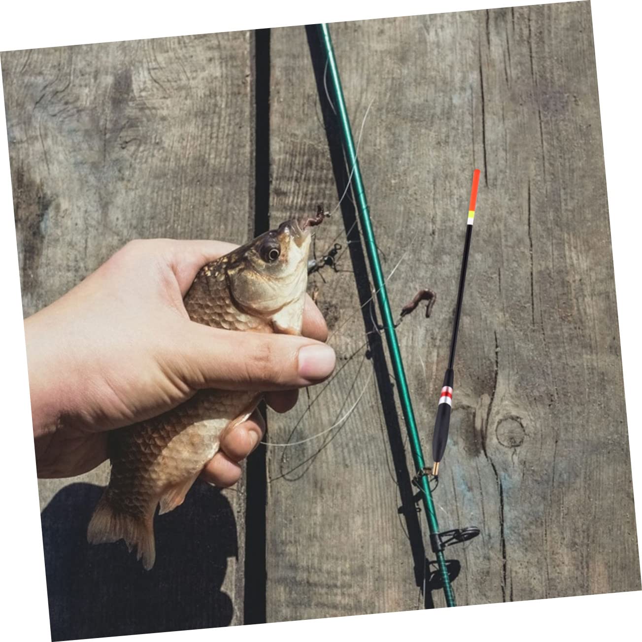 VANZACK Galleggianti da Pesca in Legno, 12 Pezzi, Grande Galleggiabilità, Coda Spessa e Visibile, per Pesca in Acque Dolci e Torrente