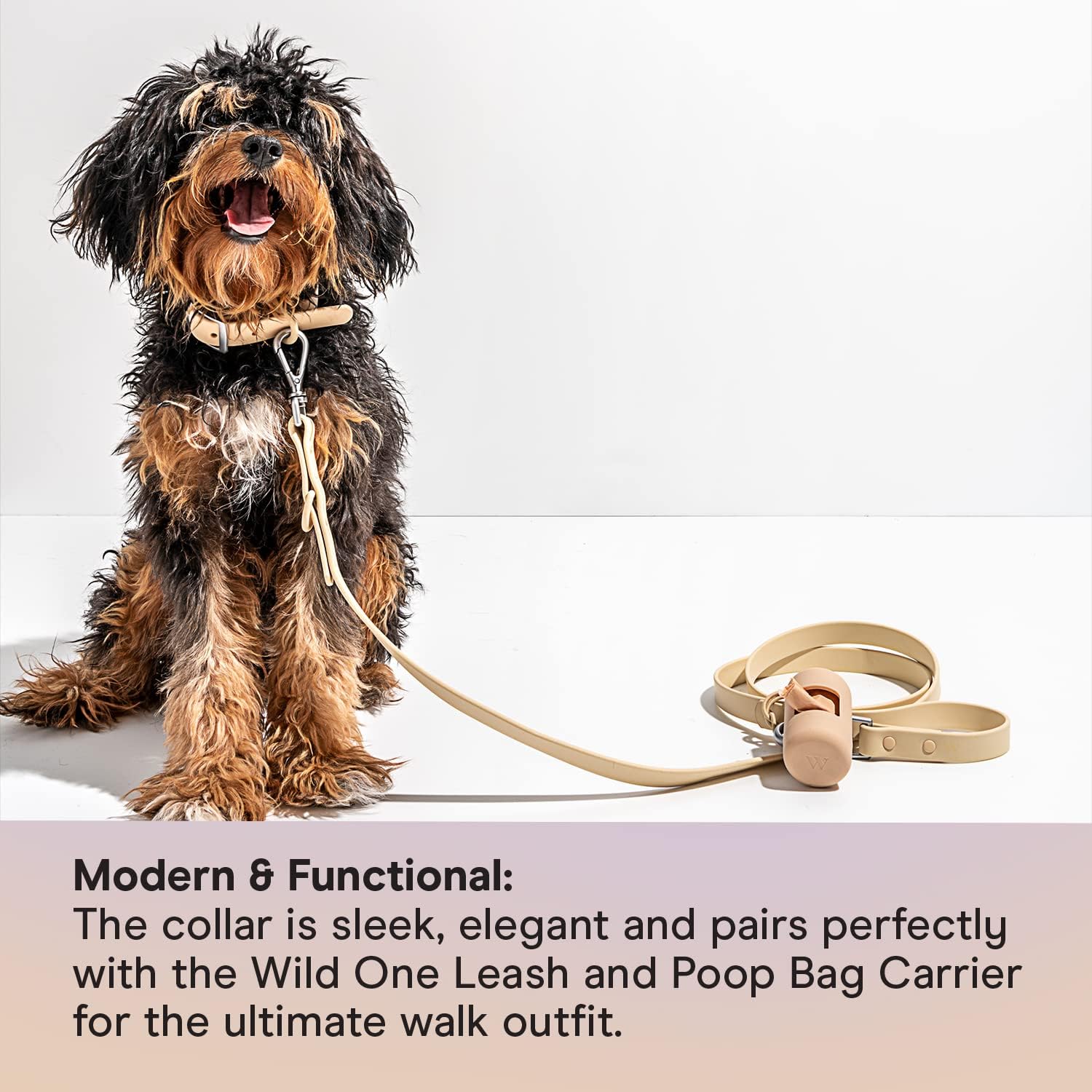 Wild One Dog Collar, The Original Easy-Clean, All Weather Flex-Poly Strap with Metal, Durable, Dirt and Odor Resistant (Tan, M)