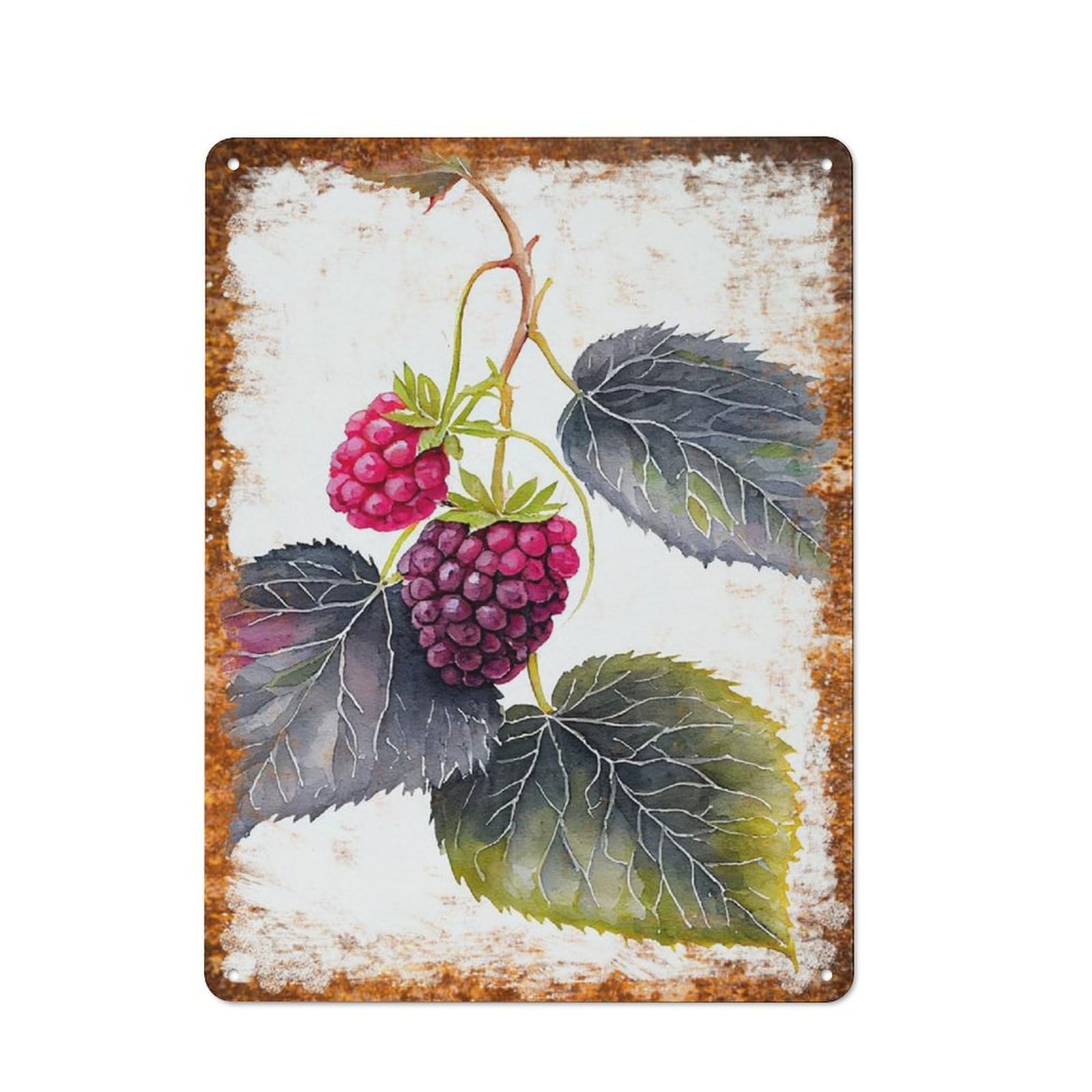 peiyeety Metal Tin Sign Blackberry Minimalist Watercolor Pattern Vintage Rustic Wall Art Kitchen Bathroom Bedroom Living Room Cafe Farmhouse Office Garage Home Bar Laundry Room Porch Patio 6x8 Inch