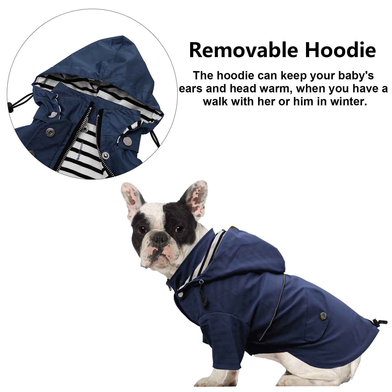 MOREZI Chubasquero para Perros con Cremallera y Botones Reflectantes, Resistente al Viento y a la Lluvia, cordón Ajustable, Capucha Desmontable-Azul Marino-M
