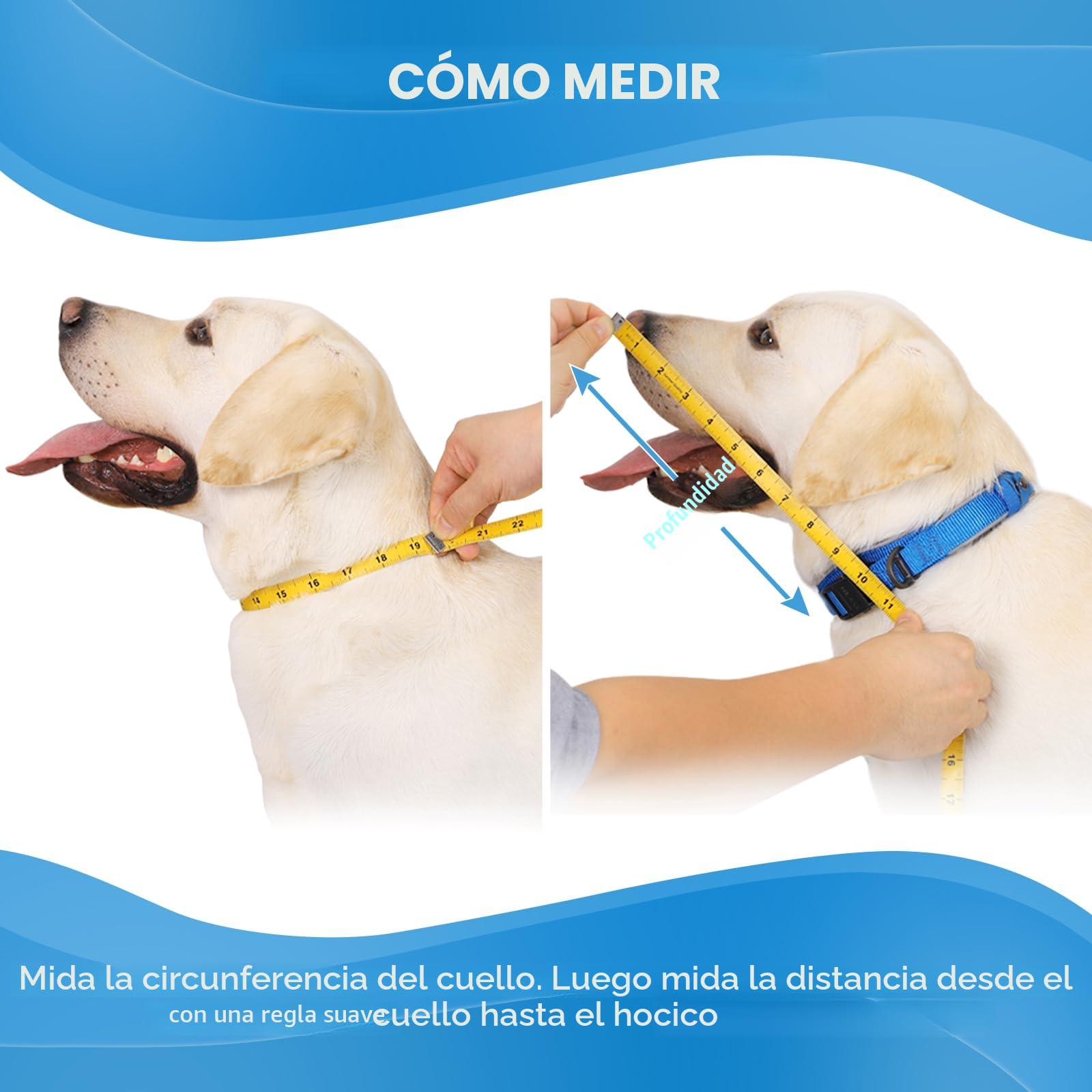 Collar Isabelino Perro, Collar Isabelino Suave para Perro y Gato, Ajustable Collarin Perros para No Rascarse,Conos de Recuperación para Mascotas,Collar de Protección Postoperatoria para Perros(Size 8)