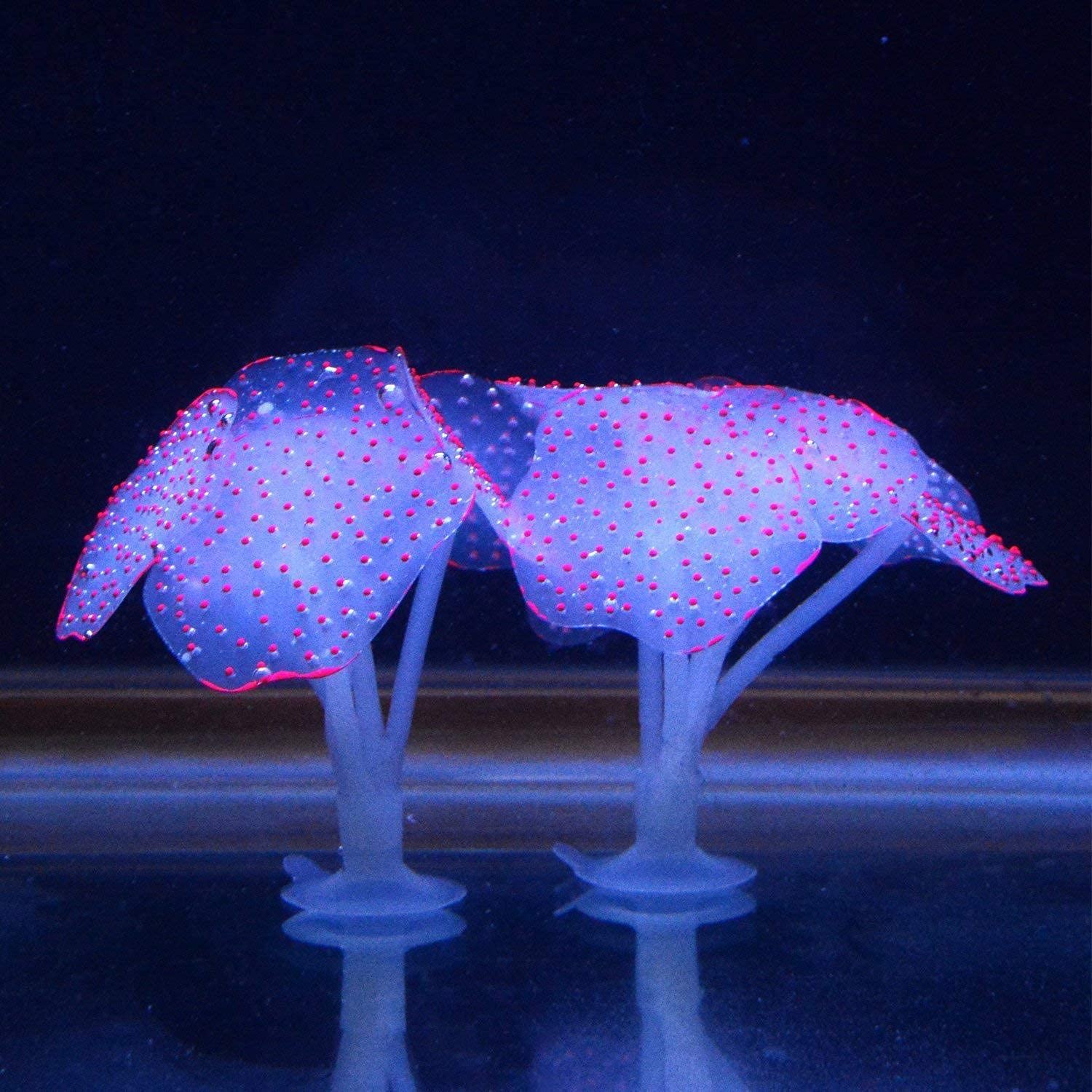 Podazz Lot de 4 Décorations Fluorescentes pour Aquarium, Corail Artificiel et Anémone en Silicone avec Ventouse, Ornements Aquarium pour Eau Douce, Eau de Mer, Nano Bac et Décor Récif