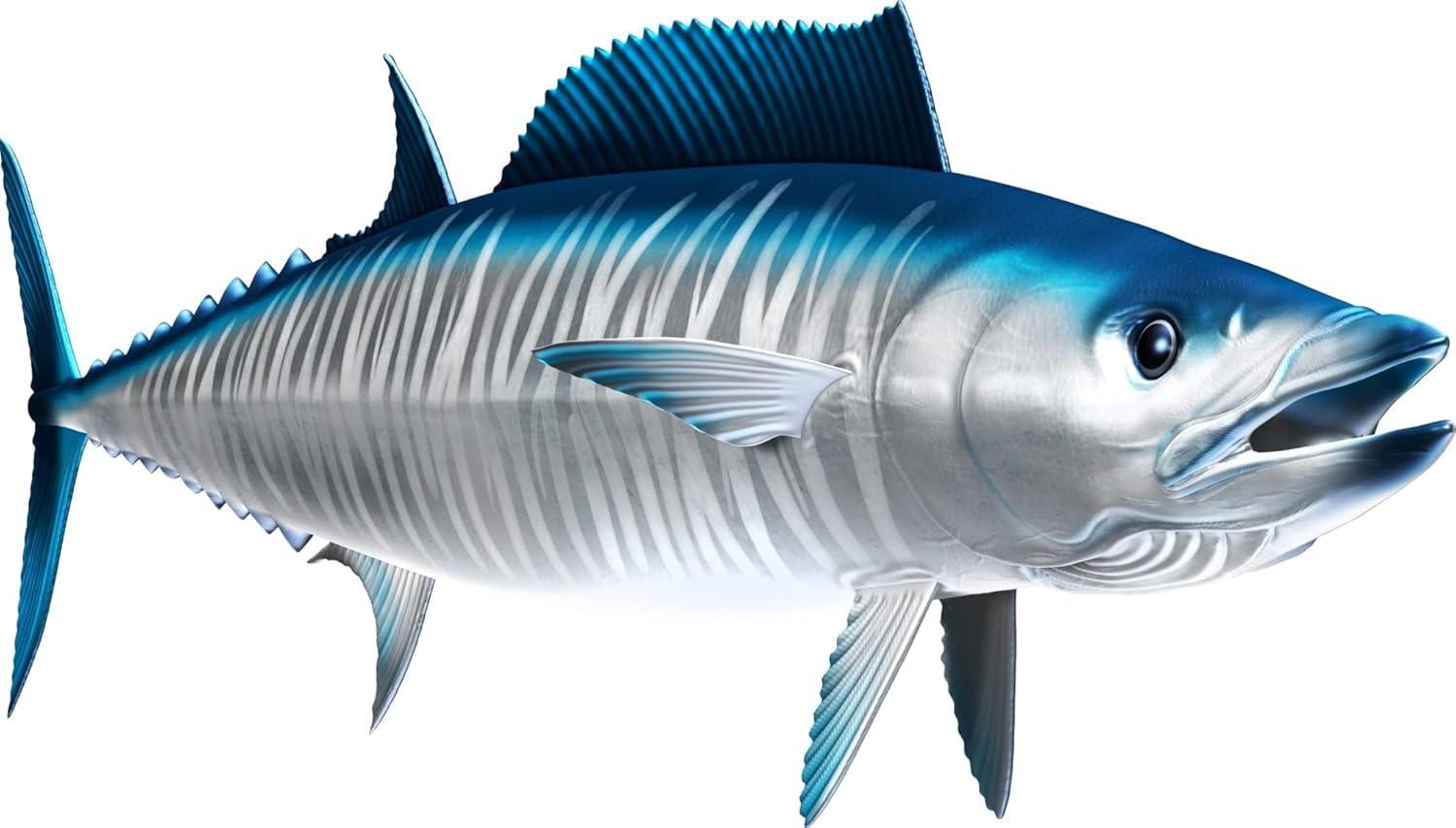 Wahoo Beautiful Fish Decal | Fishing Decal for Boat, Car, Vehicle, Truck Etc. | Waterproof Vinyl Sticker | Many Sizes & Styles Available | 12" to 40" by Digital Fish Art (X-Large, Position 6)