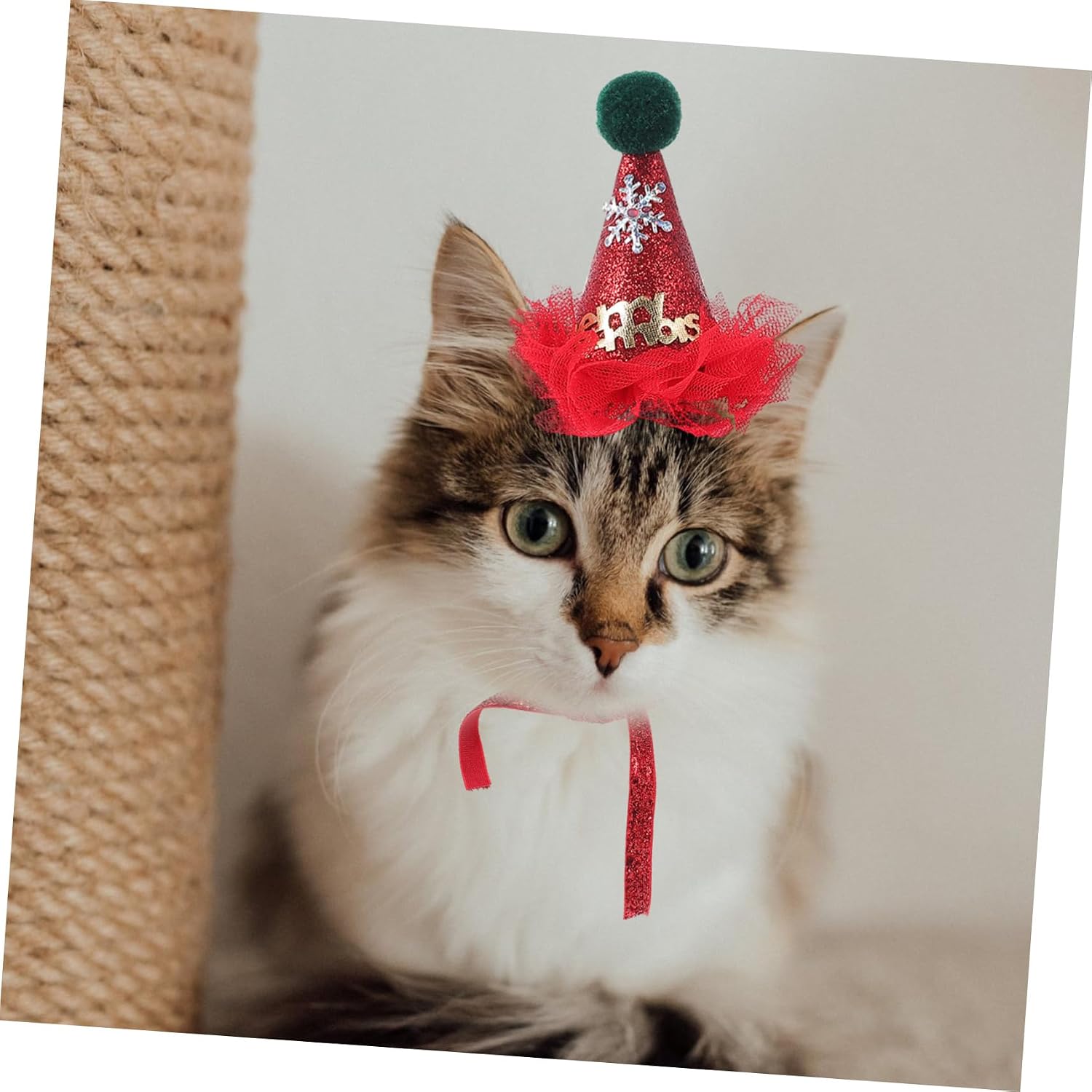 Interactive Cat Toys Xmas Christmas Style Plush Teaser for Cats 5 Pcs image 2