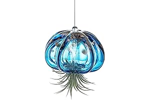 H&D HYALINE & DORA Blown Glass Jellyfish Hanging Air Planter