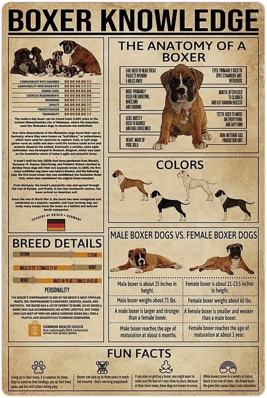 rayprint Boxer Knowledge Metal Tin Signs Boxer Infographics Retro Posters Dog Encyclopedia Guide Plaques Wall Decor For Office Classroom Home 8x12inches