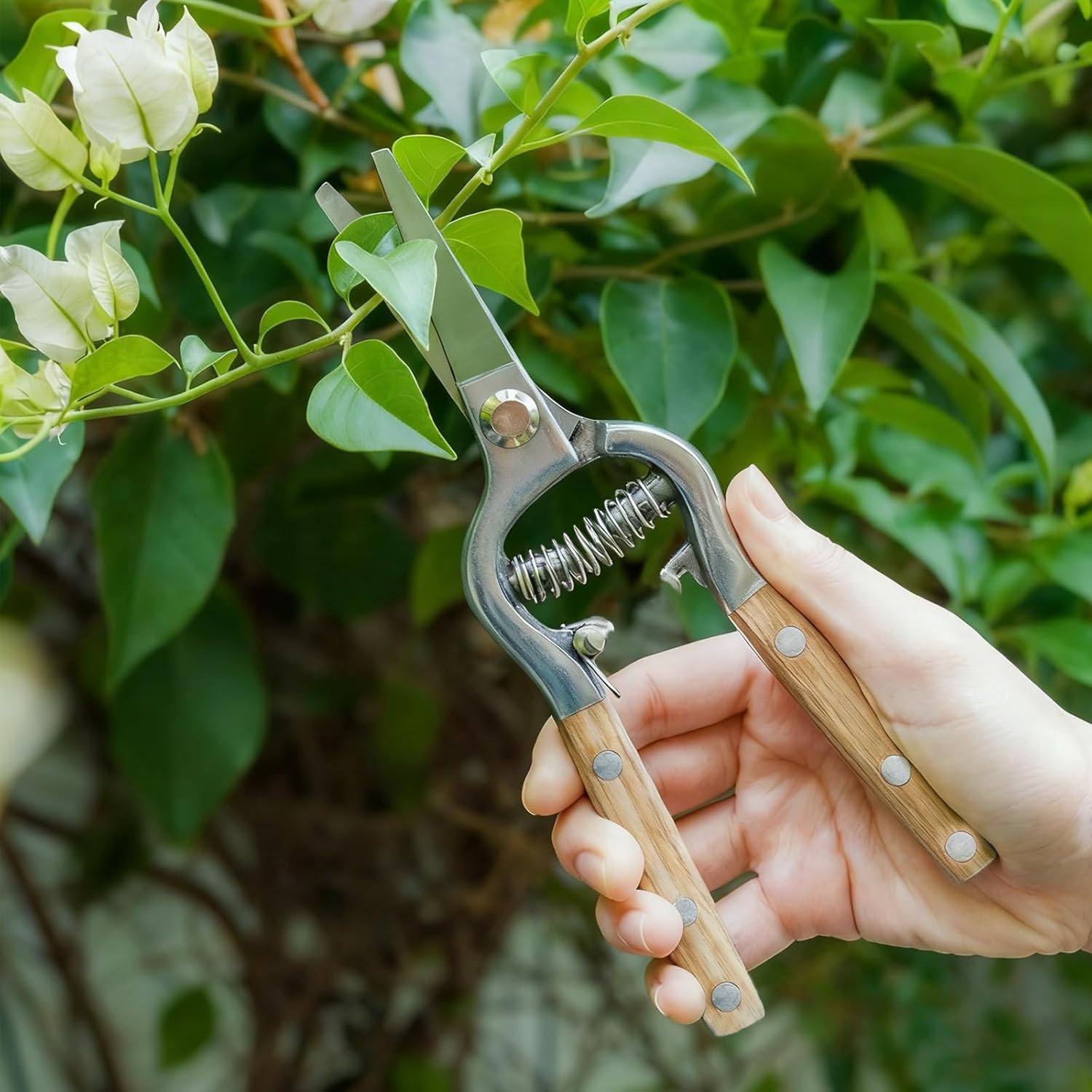 2 Pack Garden Pruning Shears, Heavy Duty Garden Scissors & Clippers For Wood & Tree Trimming, Garden Tools, Safety Lock, Wood Grain Tool, For Cutting Flowers, Trimming Plants, Picking Fruits (Gold)