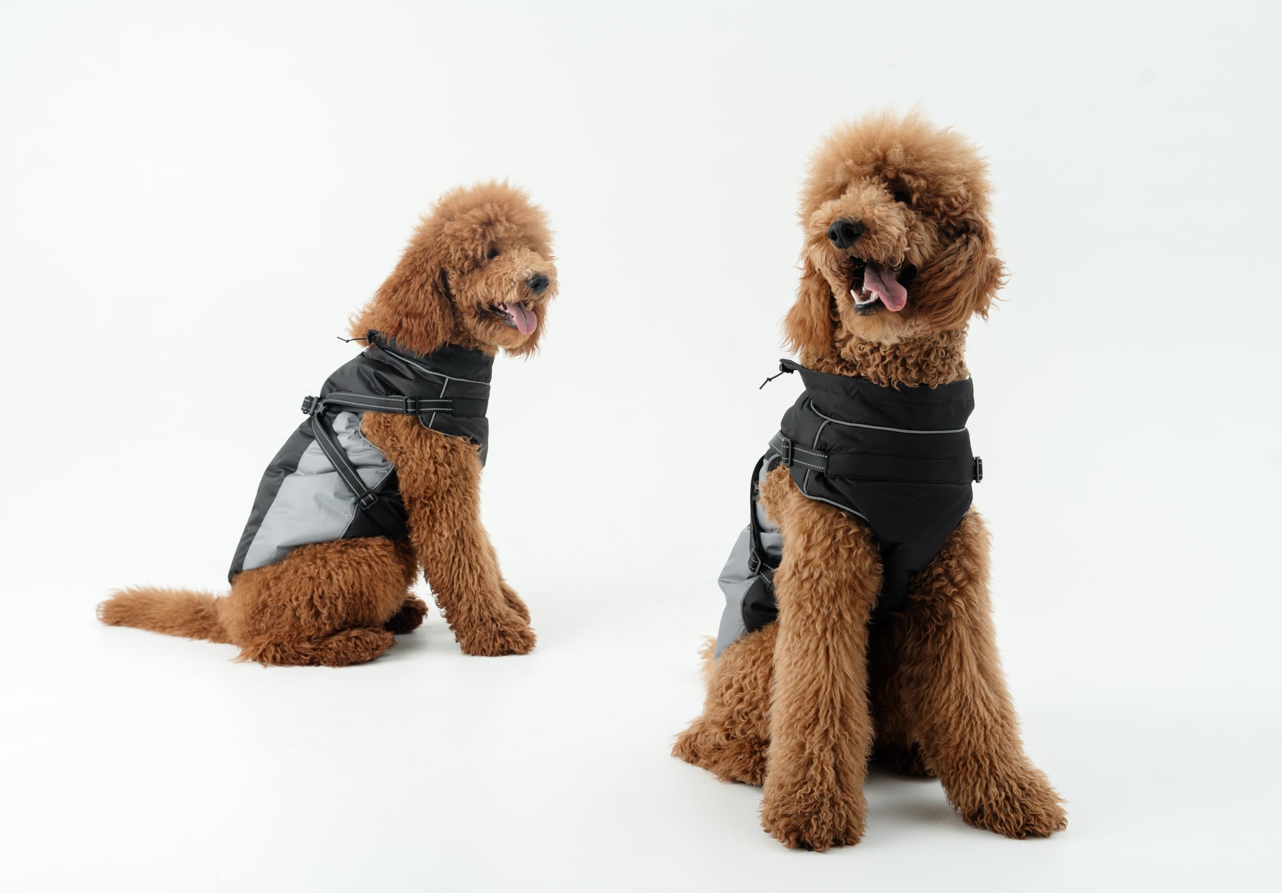 DOGOPAL Manteau Imperméable pour Chien avec Harnais Intégré – Veste de Pluie Réfléchissante, Coupe-Vent et Chaude pour Chien, Veste de Protection pour Petits, Moyens et Grands Chiens (Gris, 45)