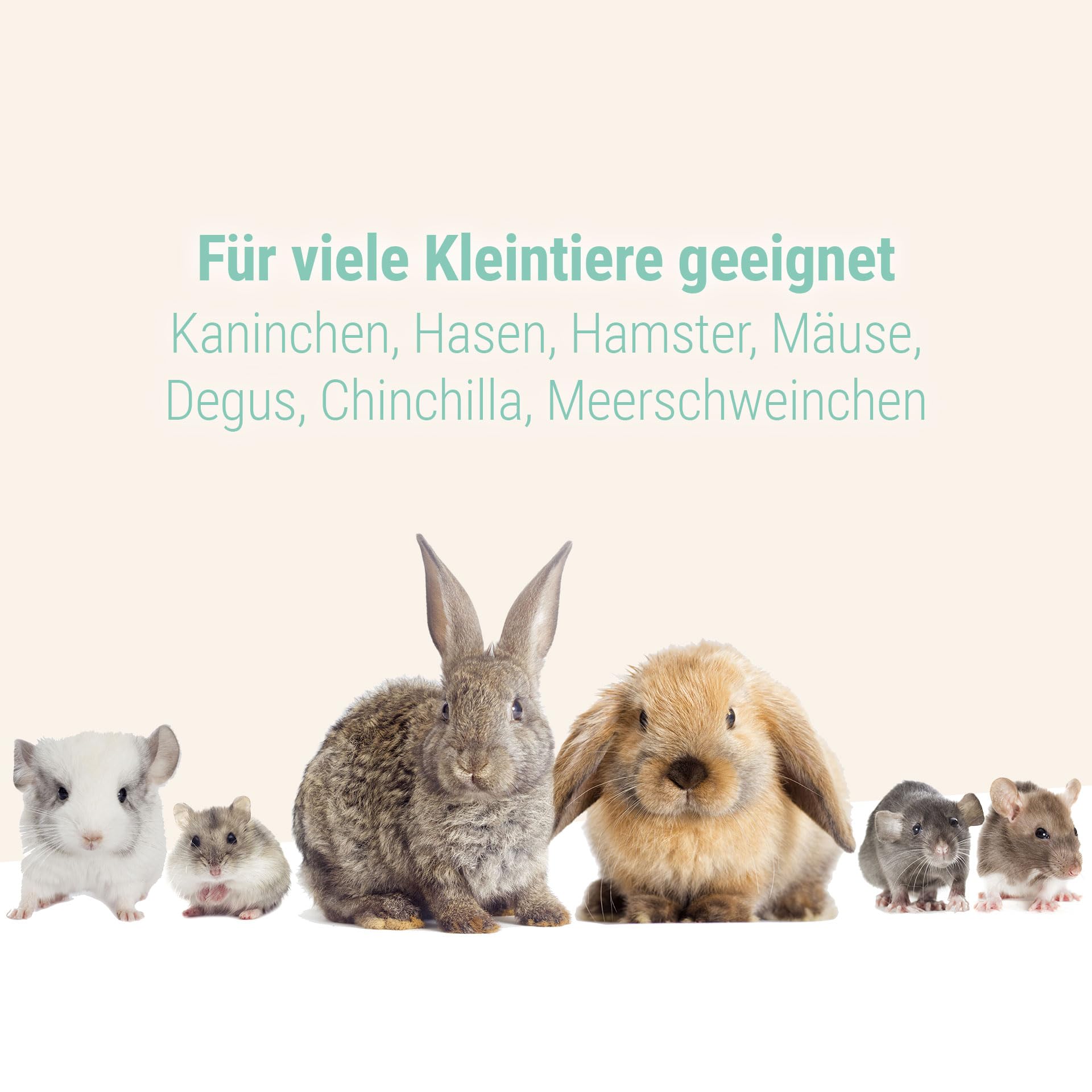 Schicker Mineral Kaninchen Buddelsand 25 kg, für Kaninchen & Hasen, kantengerundet für Sensible Pfoten, Naturprodukt aus Deutschland, lehmfrei, frei von Verunreinigungen & chemischen Zusätzen