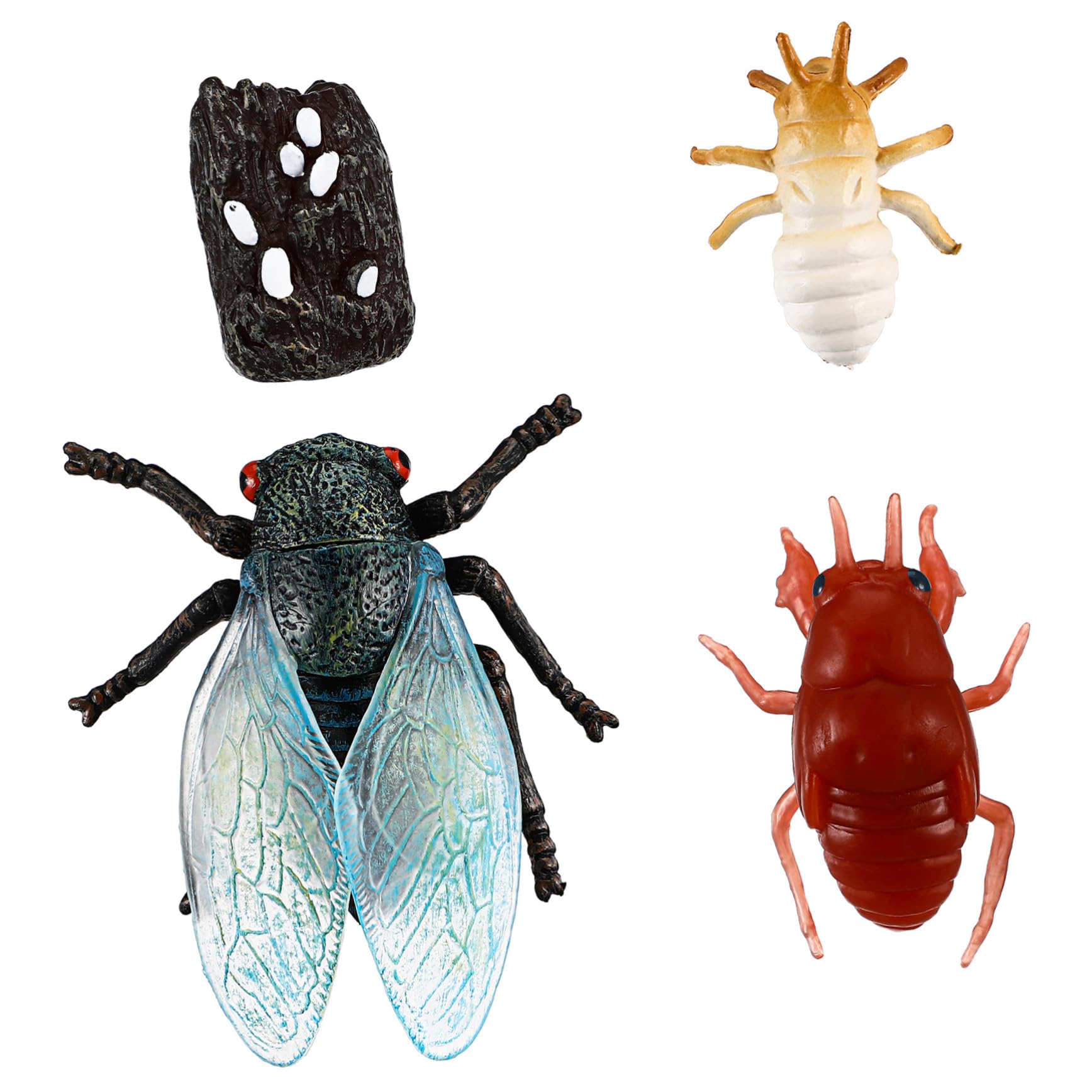 Amazon.co.jp: ノーブランド品 1 セット 科学と教育の 動物の置物 セミ 