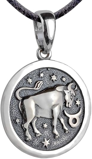 Zodiac Sign Pendant Necklace 925 Sterling Silver Horoscope Medallion Coin Disc Choker Charm Constellation Astrology Jewelry for Men Women
