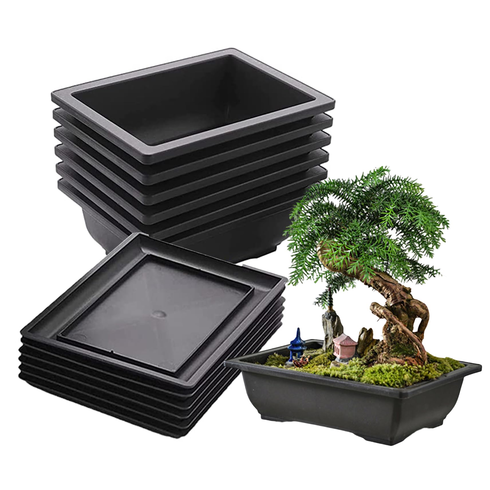 Wilafury 12Pcs Bonsai Pots with Trays, Rectangle Plastic Flower Pots for Succulents, Seedlings, Indoor Plants, Nursery & Gardening, Black