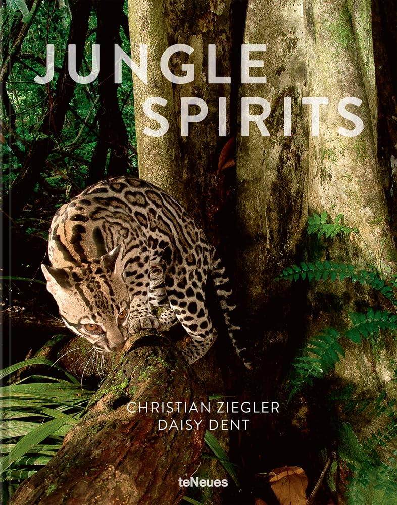  of Spirit　Geir Jordahl　ゲイル・ヨルダール River of Spirit Geir Jordahl ゲイル・ヨルダール