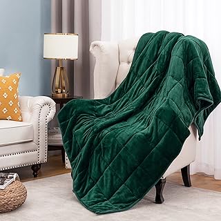 Sponsored Ad - joybest Microfiber Flannel Fuzzy Weighted Blanket Oeko-Tex Certified Soft Fleece 15 Pounds 60x80 Inches Que...