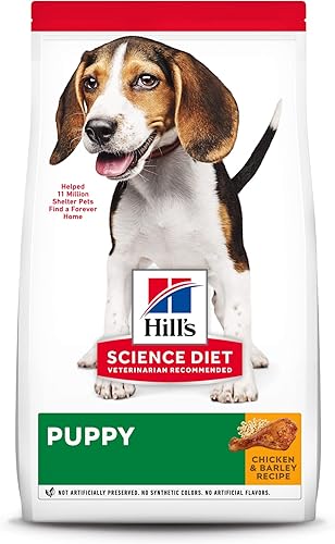 Miniatura 9 de Hills Science Diet Alimento seco para perros cachorros bocados pequeños harina de pollo y receta de cebada