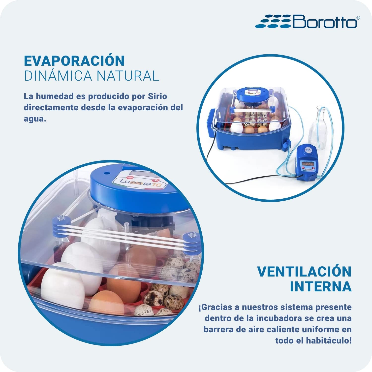 Borotto Lumia 16 Expert | Incubadora de Huevos Automática Profesional Patentada 16 Huevos o 64 Pequeños con Volteador de Huevos Automático, Control de Temperatura, Humidificador Sirio | Made in Italy