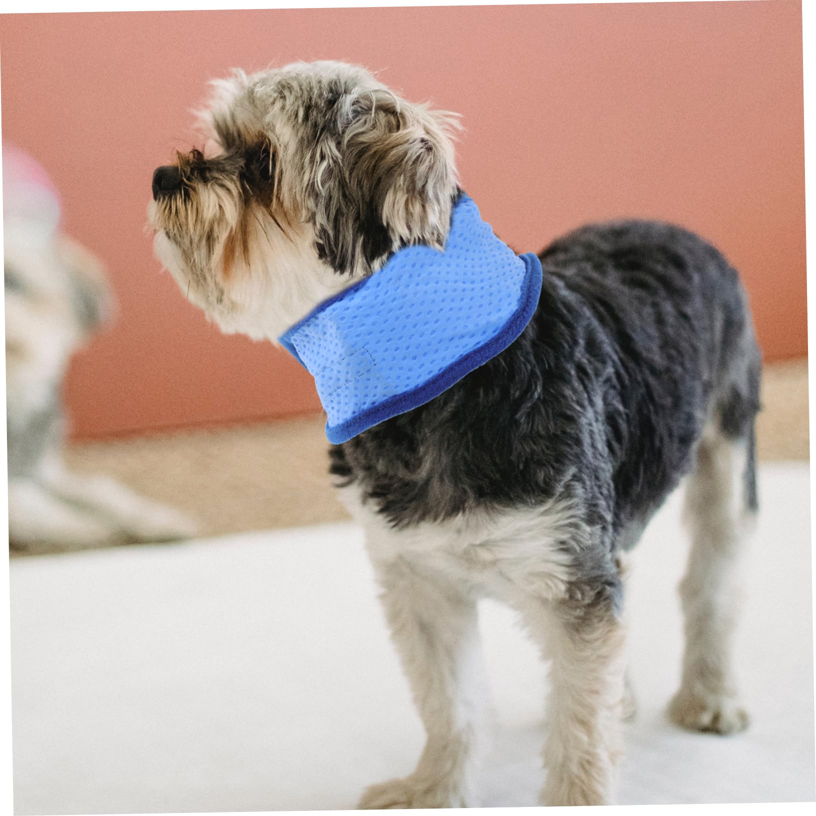 minkissy 6 STK kühlender Schal für Haustiere Eisweste Hundehandtuch Hijab für Hunde Tanktops Muskelshirt Sommerhalsband für Haustiere kühlender Schal für Welpen ädchen Notwendigkeit Vlies