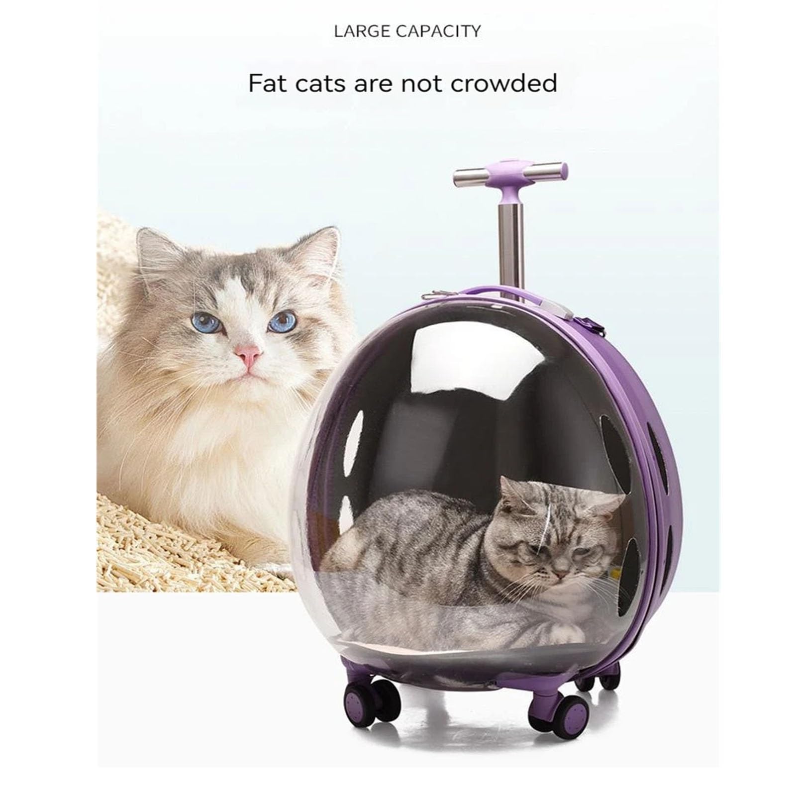 Bagagli for animali domestici, Valigia for animali domestici Trolley trasparente Borsa for gatti Fuori Capsula spaziale portatile for cani Zaino di grande capacità for viaggi all'aperto(Khaki