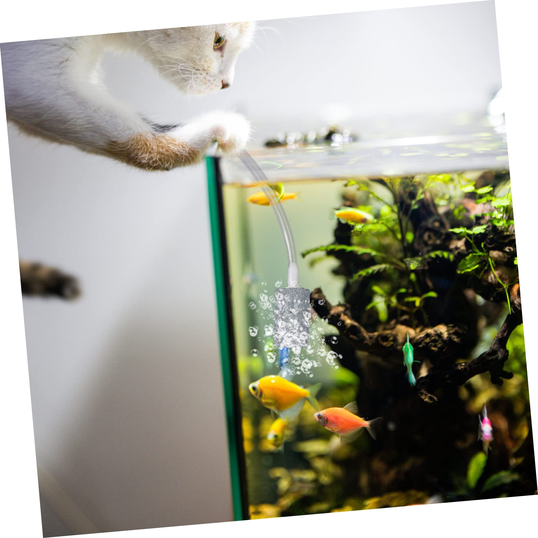 Toddmomy 3piezas Bomba De Aire USB para Acuario Compresor De Portátil Generador De Burbujas Silencioso para Tanques De Peces y Plantas Compacto y Oxigenación
