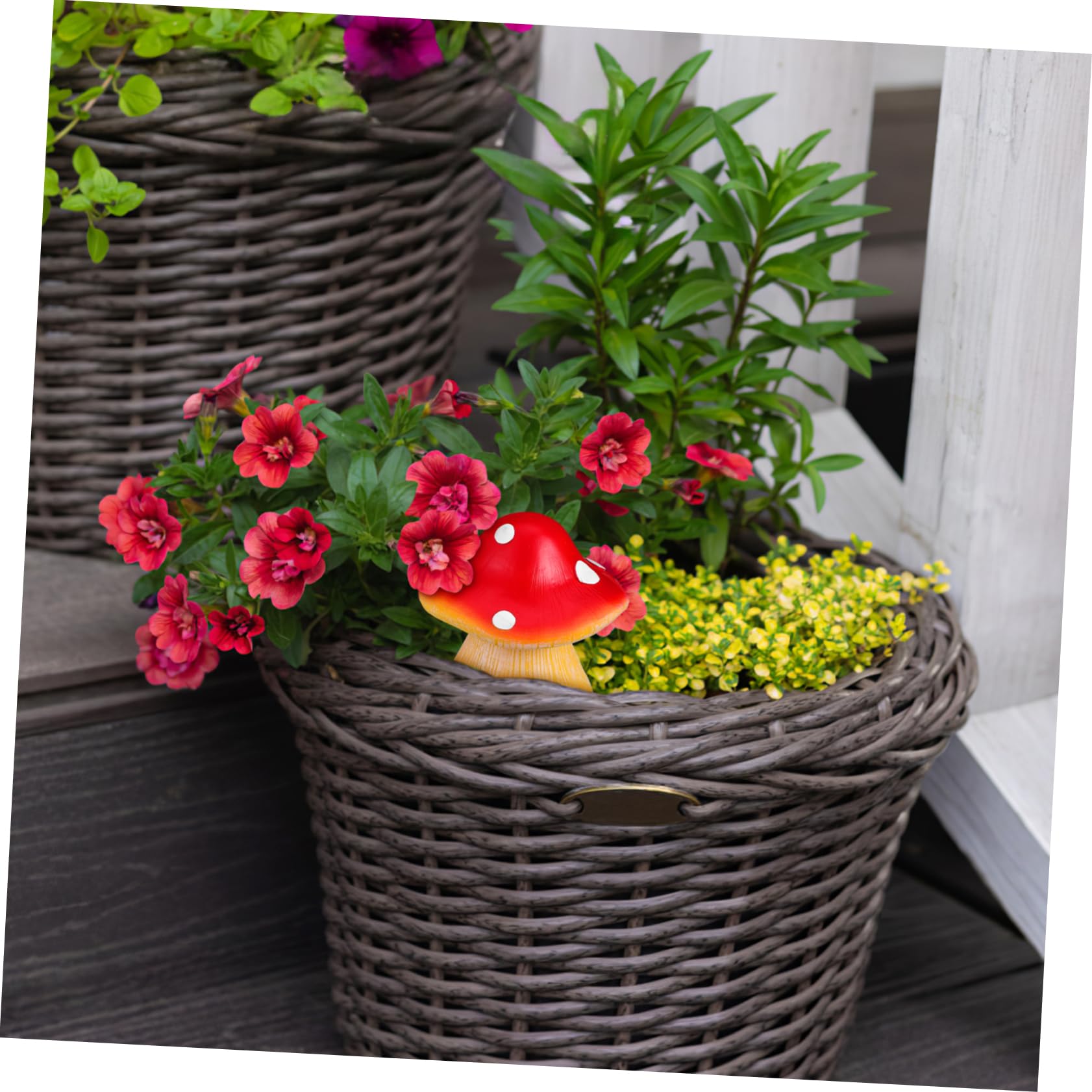 NUOBESTY 4 Piezas Claves Exterior Decoración de Jardín Forma Almacenamiento Resistente a Guardar Llaves y Objetos Pequeños