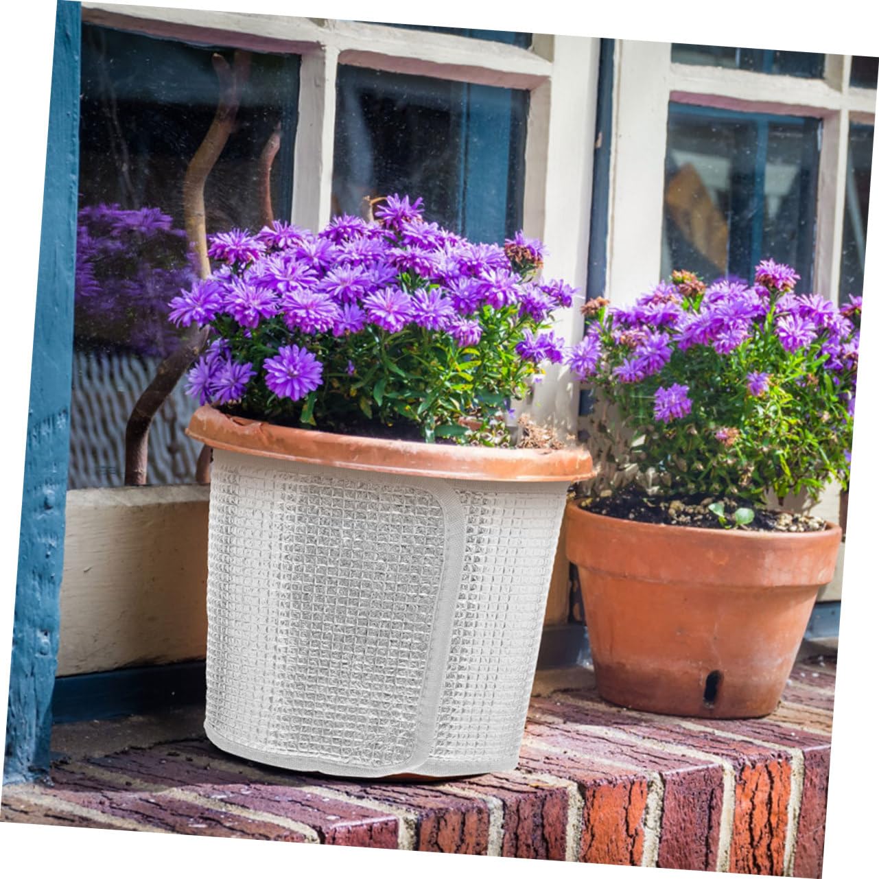 ibasenice Blumentopf Überzug 5 Stück aus Aluminiumfolie mit Selbstklebung