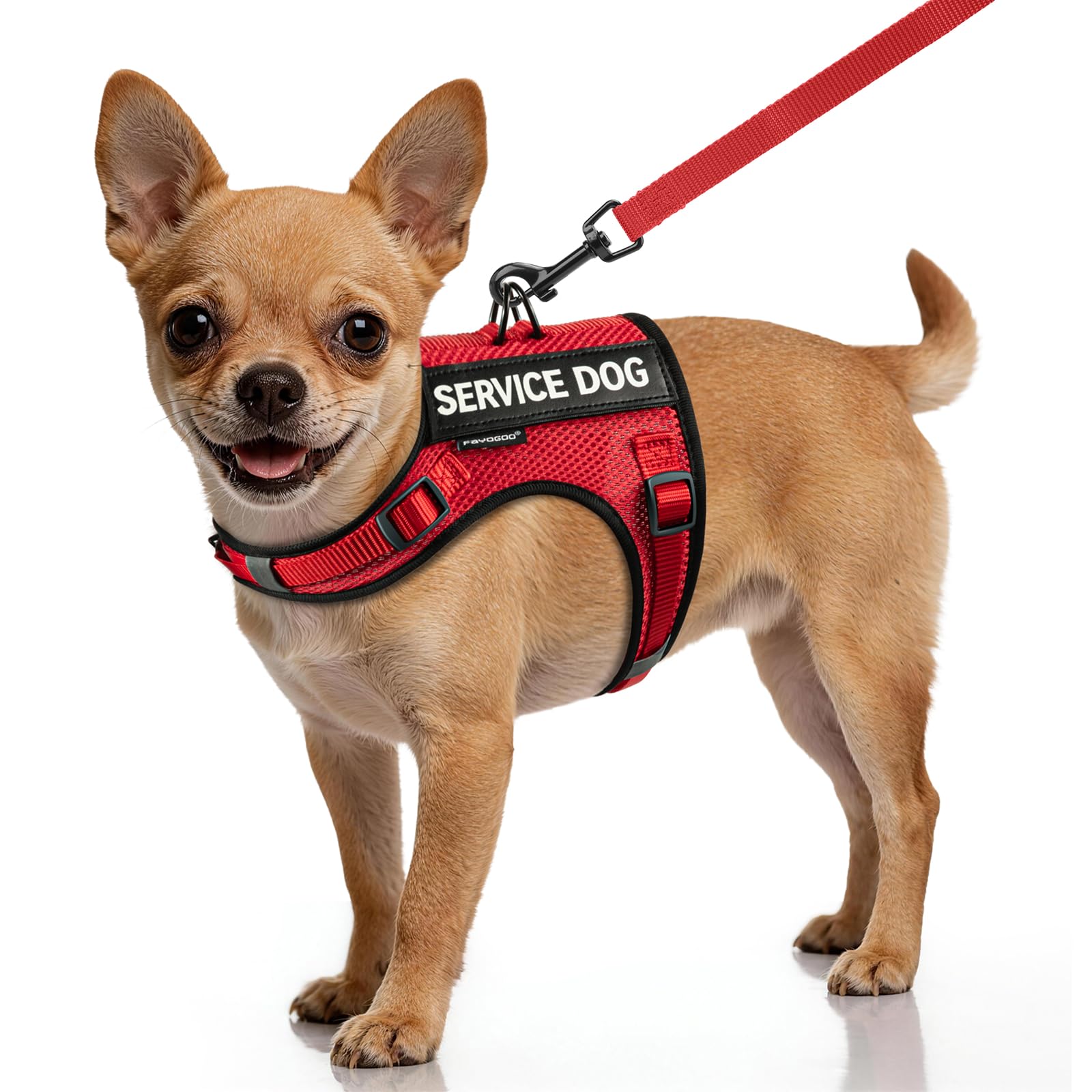 FAYOGOO Service Dog Vest for Small Dogs - Air Mesh Breathble Emotional Support Animal Vest with DIY Patches - Puppy Harness and Leash Set Adjustable Neck and Chest
