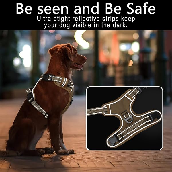 HEELE Harnais Chien, Harnais Anti Traction Réfléchissant Harnais pour Moyen Grand Chien avec Poignée Rembourrée, 1 Boucle sur la Sangle Droite de Cou Rendent Facile à Mettre et à Enlever, Marron, M - 4