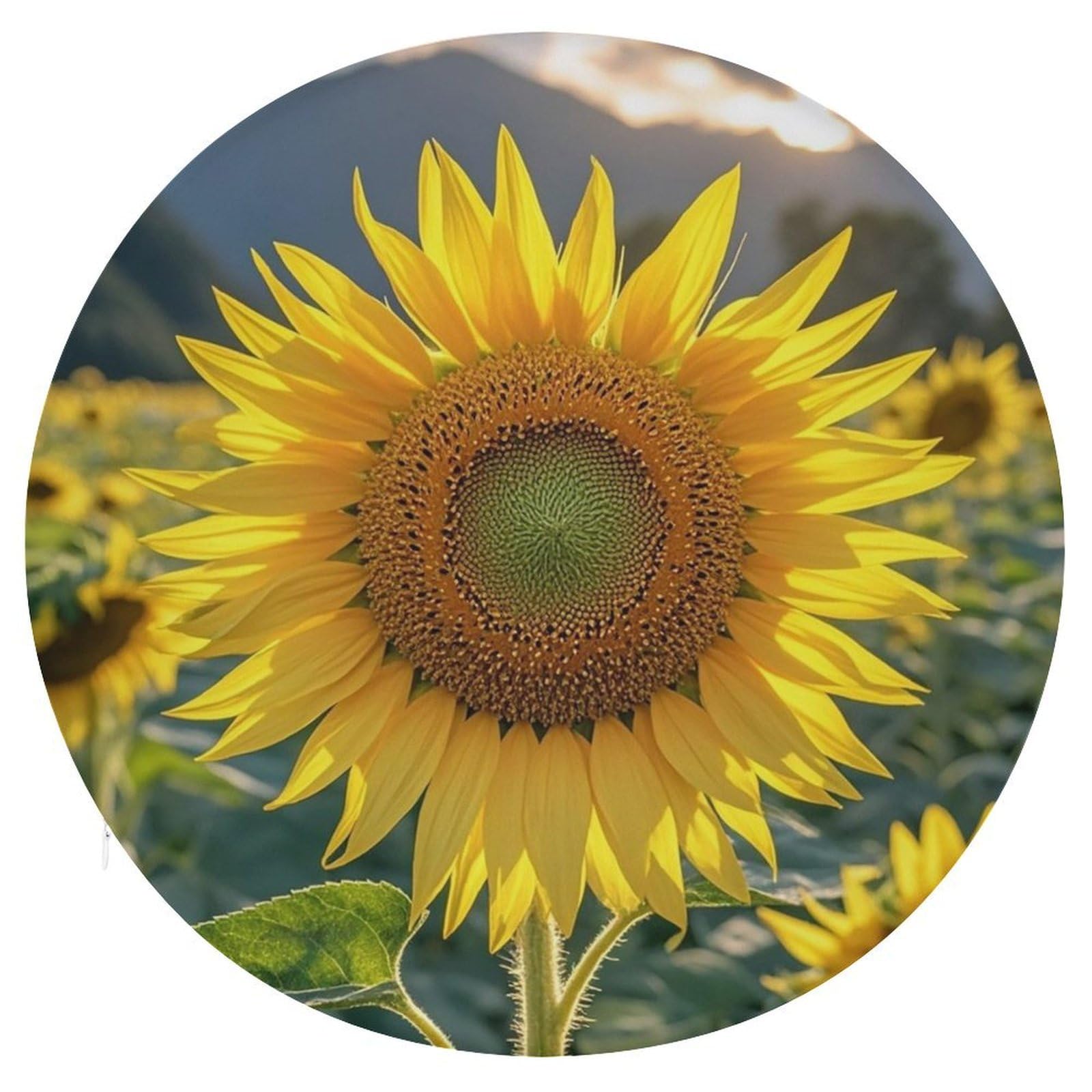 LZQPOEAS The Most Beautiful Sunflower Swivel Seat Cushion with Supportive Memory Foam Comfort Round Bar Stool Cushion 15.3" Diameter Rotating Seat Cushions Fashion Chair Pad for Car Office Home