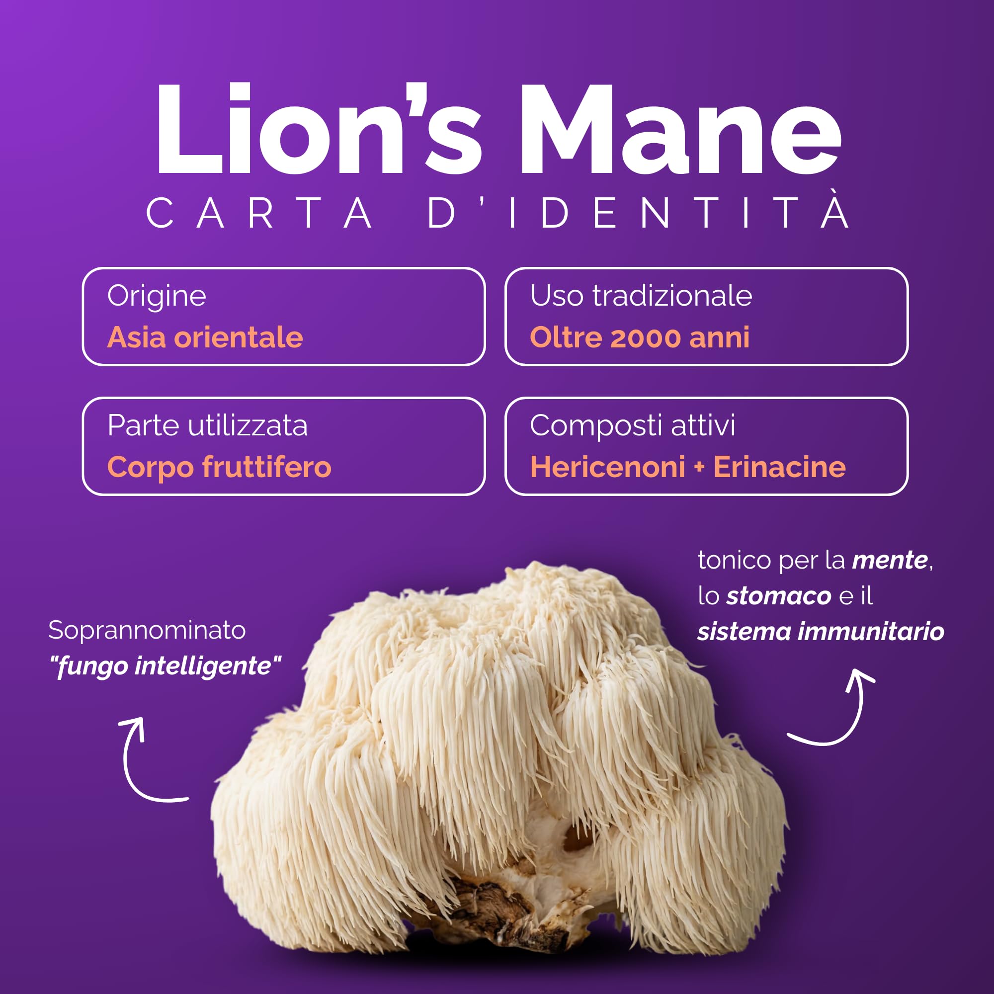 Lions Mane PURO da Frutto – Estratto Hericium Erinaceus 30% Polisaccaridi – 120 Capsule Veg – Integratore Memoria, Concentrazione, Focus e Difese Immunitarie – Fungo Criniera Leone 1110mg | Oravita