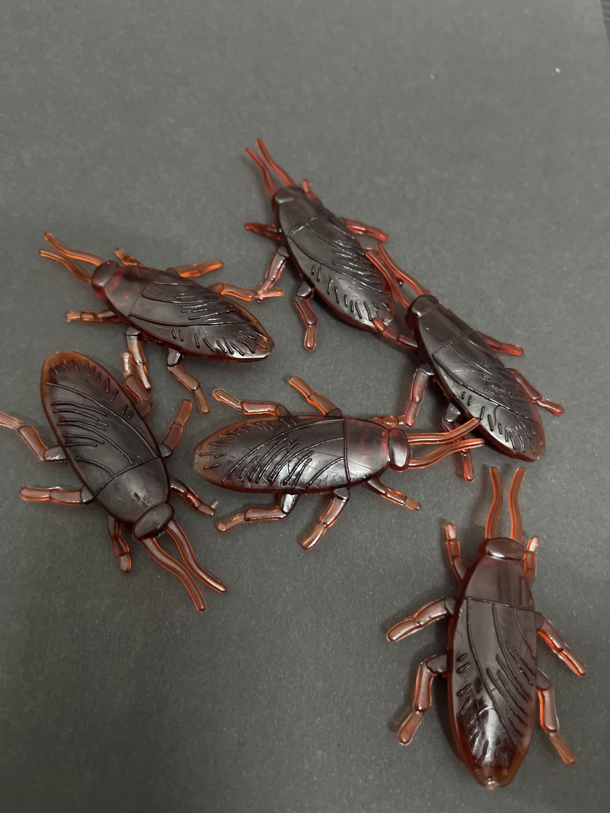 Toy Insect Cockroach Buy Rs Store (Pack of 6)Realistic Toy Cockroach Prank Toy | Practical ...