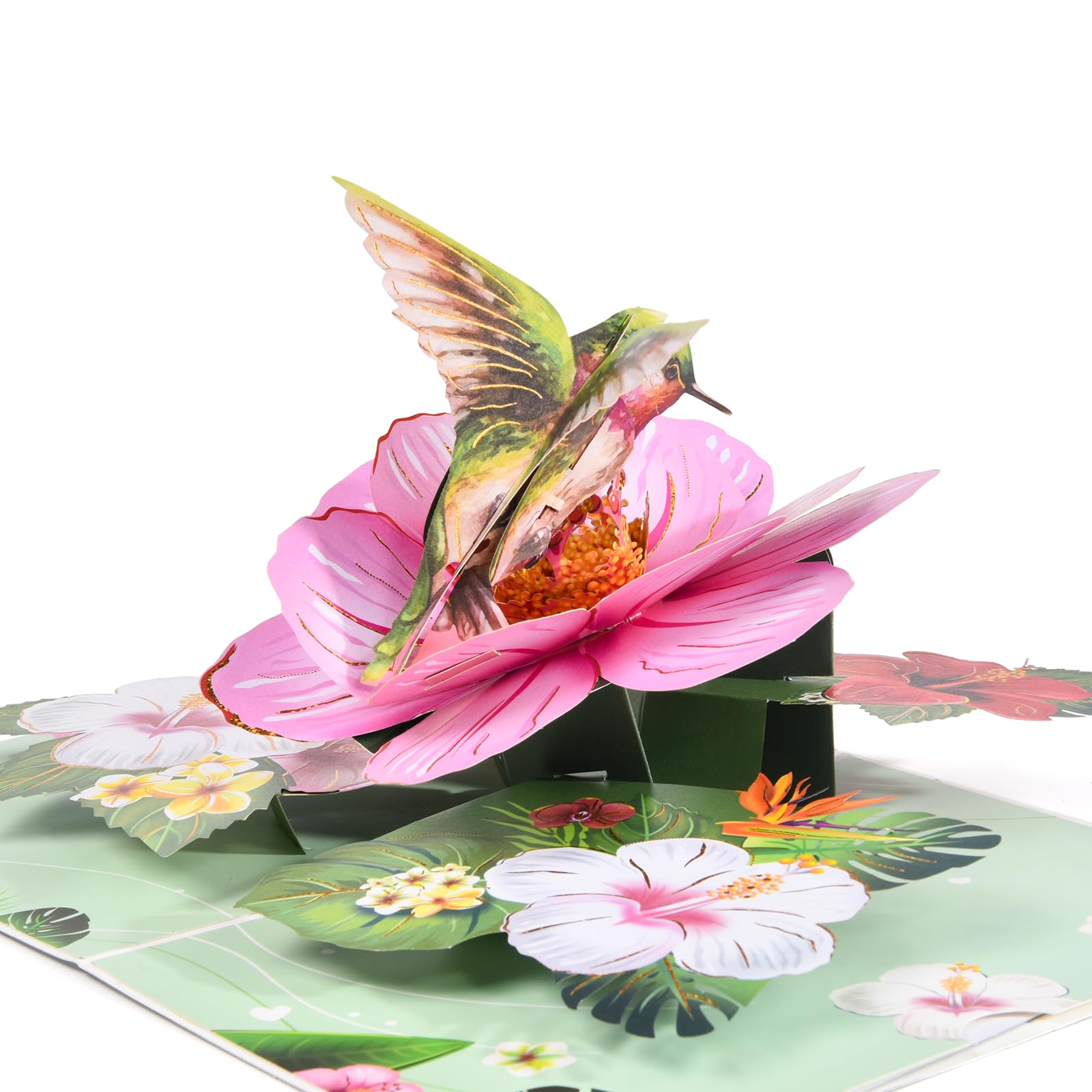 Joyvine Kolibry i kwiaty, kartki z życzeniami 3D, dla rodziny, przyjaciół, urodzin, rocznicy, podziękowań, dla matek, żon, córek, sióstr i babć