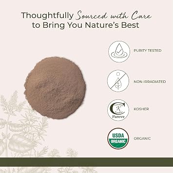 Starwest Botanicals Burdock Root Powder Organic - Natural Loose Herb for Tea, Rice, Soup, Stews, Certified Kosher, Non-GMO - Bulk 1 lb Bag