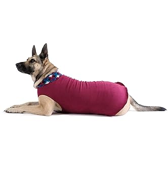 Gold Paw Duluth Double Fleece Dog Coat Pullover ?�� Soft, Warm Dog Clothes, 4-Way Stretch Pet Sweater ?�� Machine Washable, All-Season, Garnet/Winter Mod, Size 24